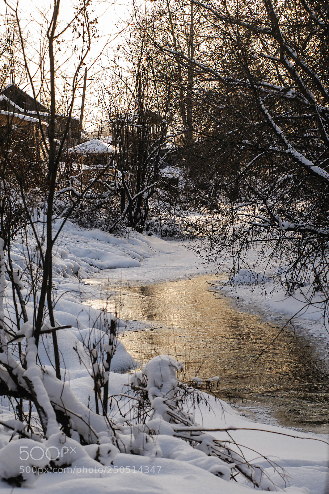 Nikon D700 sample photo. Мулянка photography