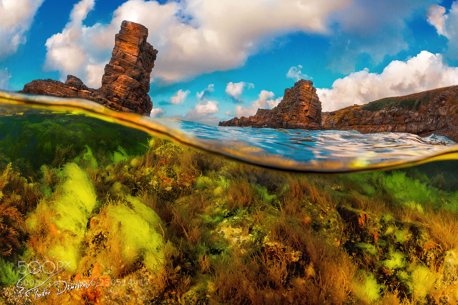 Canon EOS 50D sample photo. Split level colorful algae photography