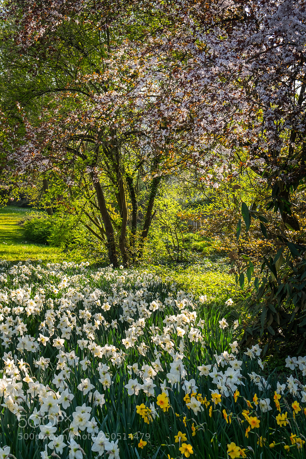 Fujifilm X-T1 sample photo. Spring photography