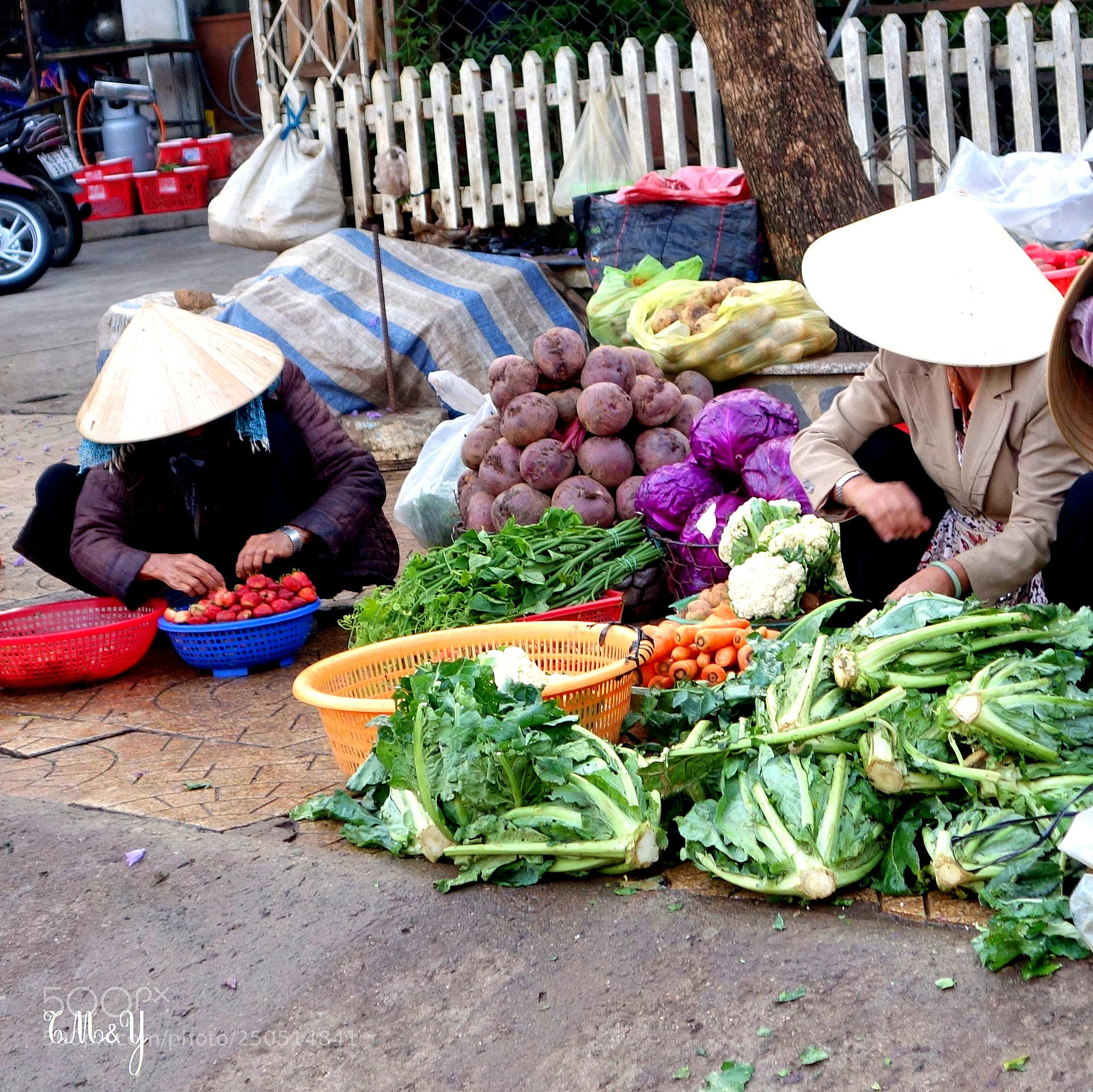 Sony Cyber-shot DSC-RX100 II sample photo. Mekong lot () photography