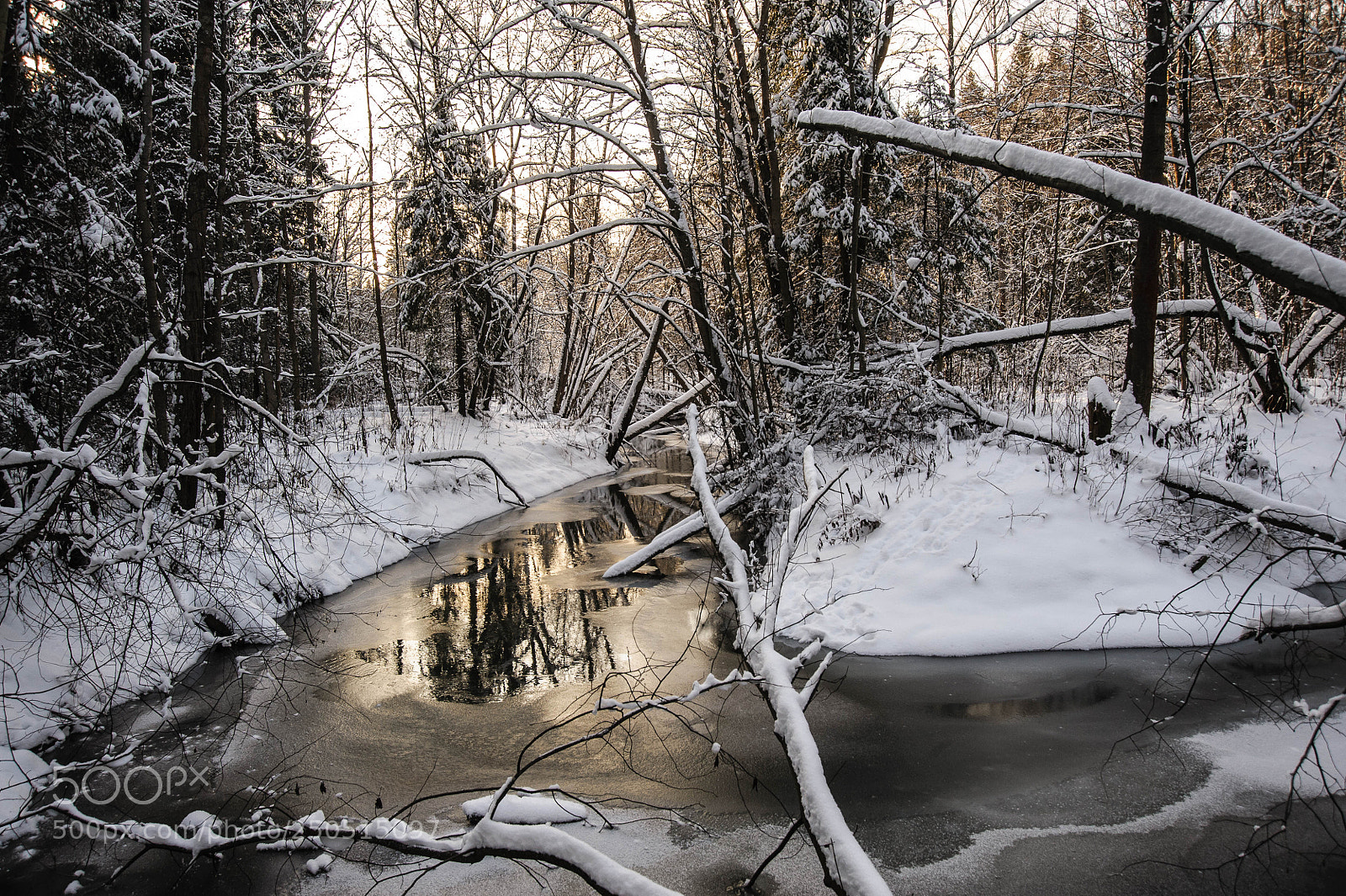 Nikon D700 sample photo. Река Васильевка photography