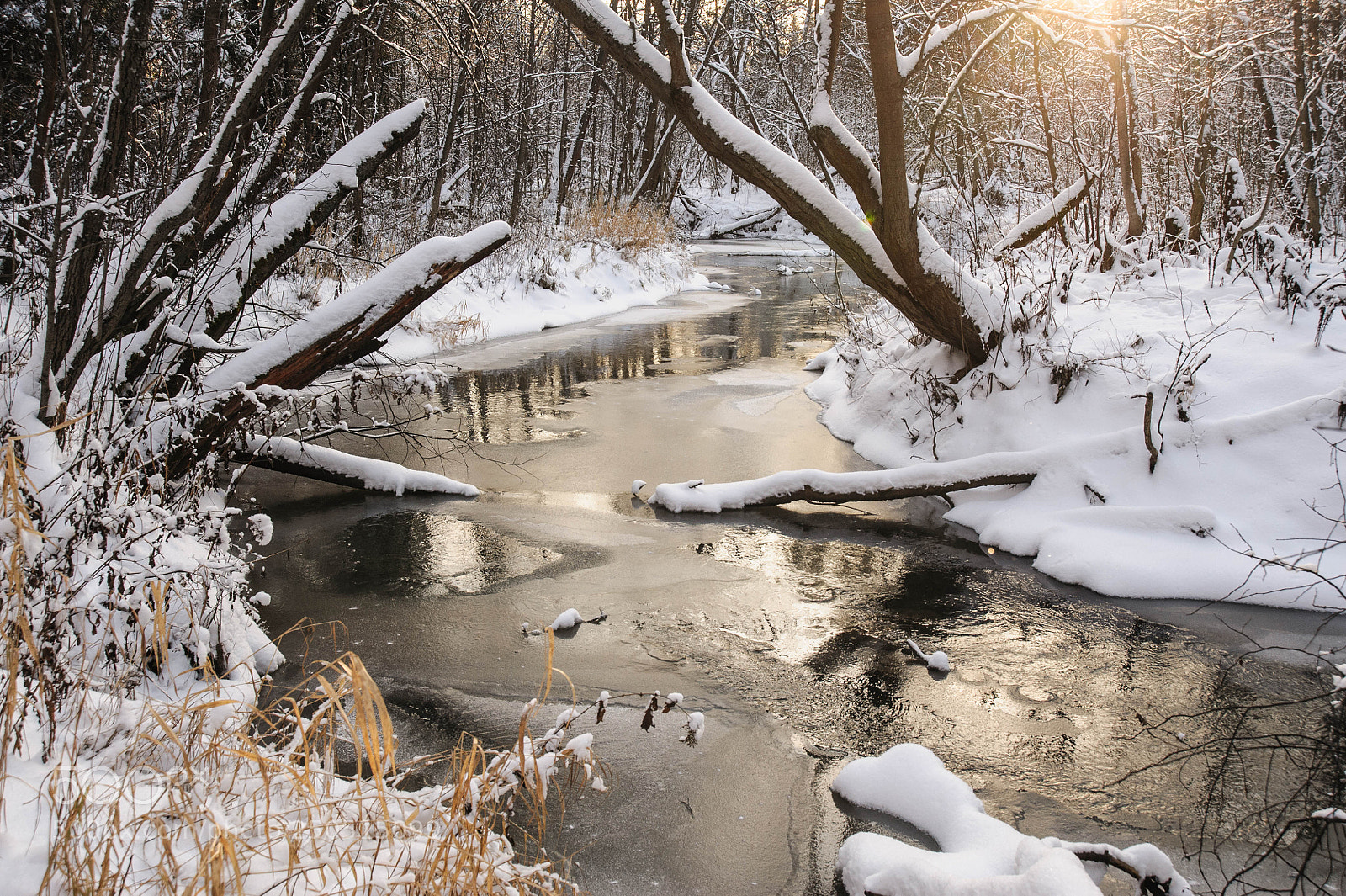 Nikon D700 sample photo. Река Васильевка photography