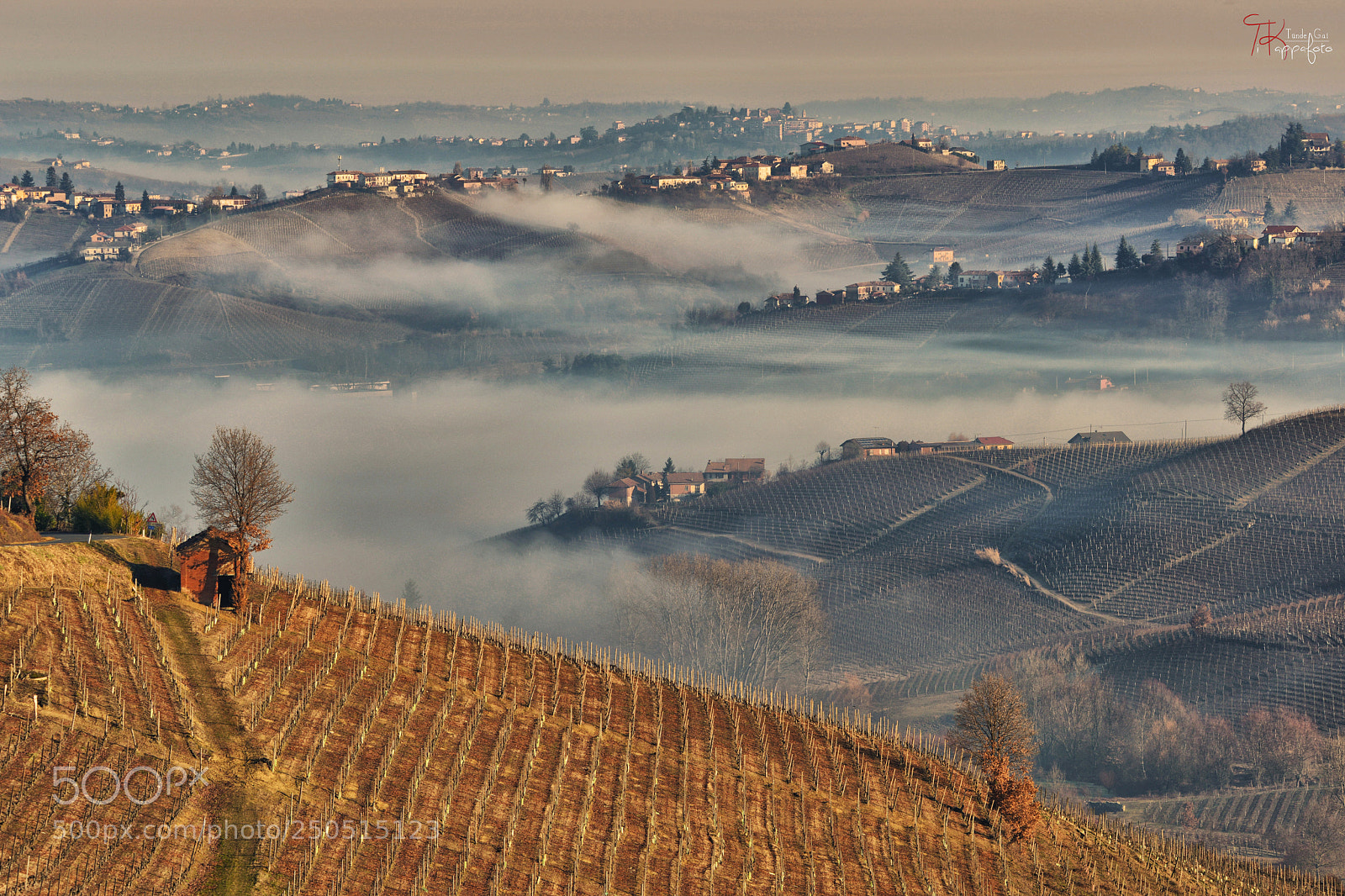 Nikon D800 sample photo. Winter morning in the photography