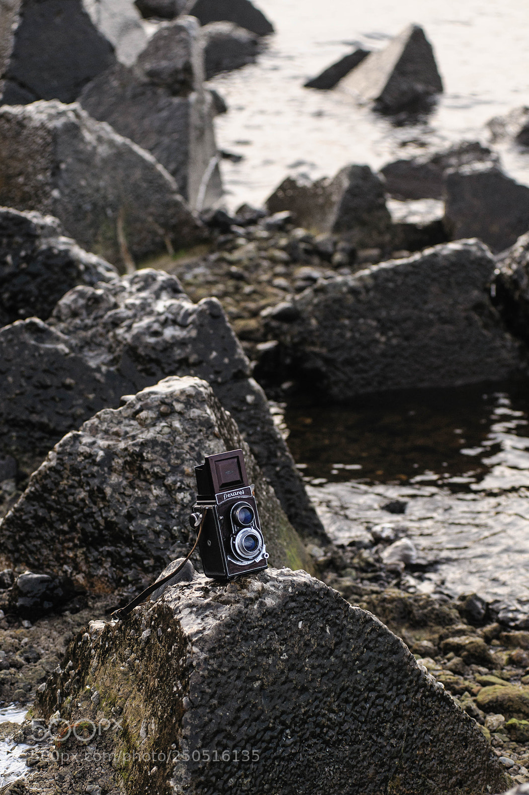 Nikon D700 sample photo. Flexaret photography
