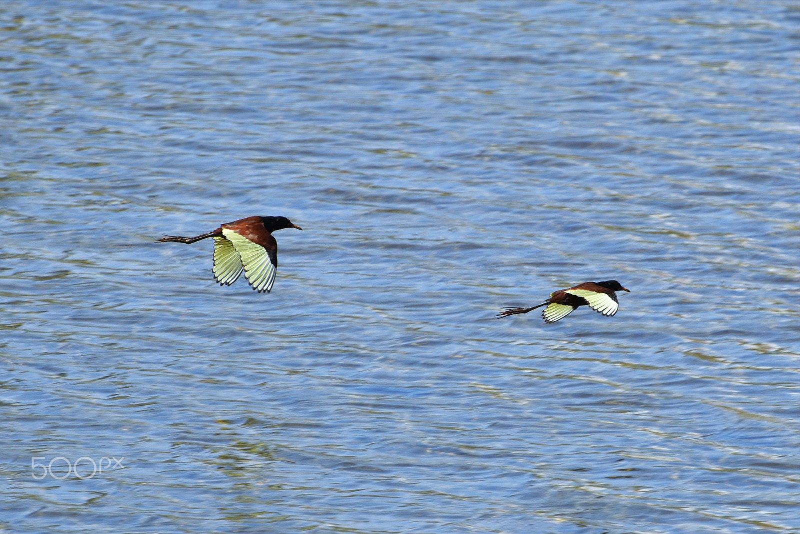 Nikon D7200 sample photo. Overflight photography