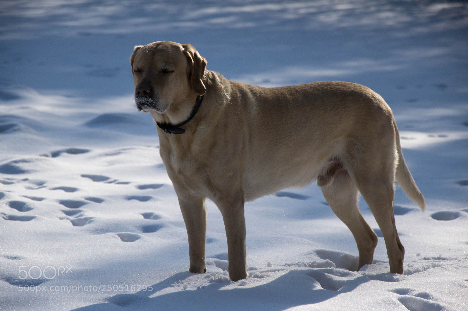 Nikon D3100 sample photo. Silence of the moment photography
