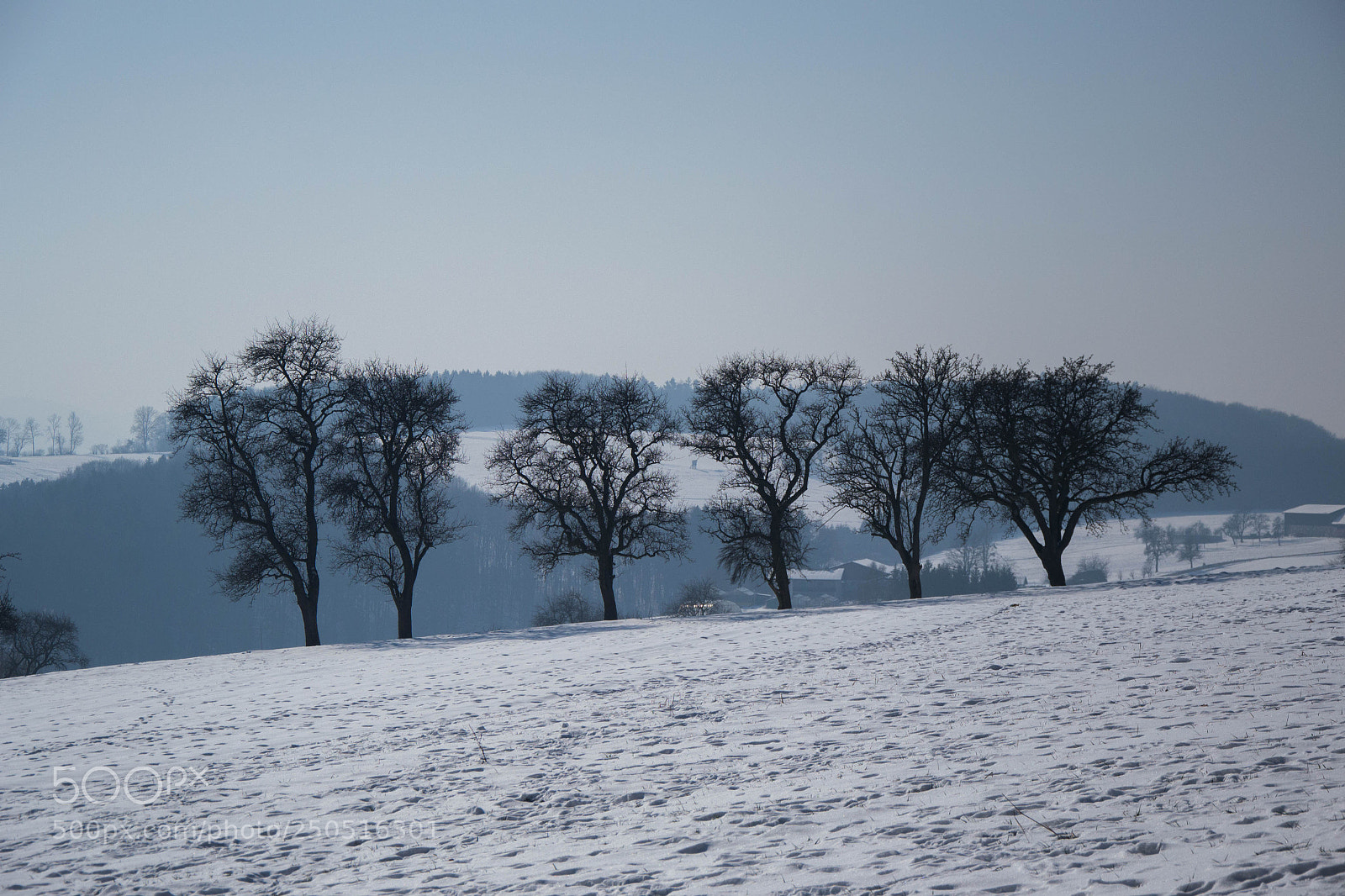 Nikon D3100 sample photo. A line photography