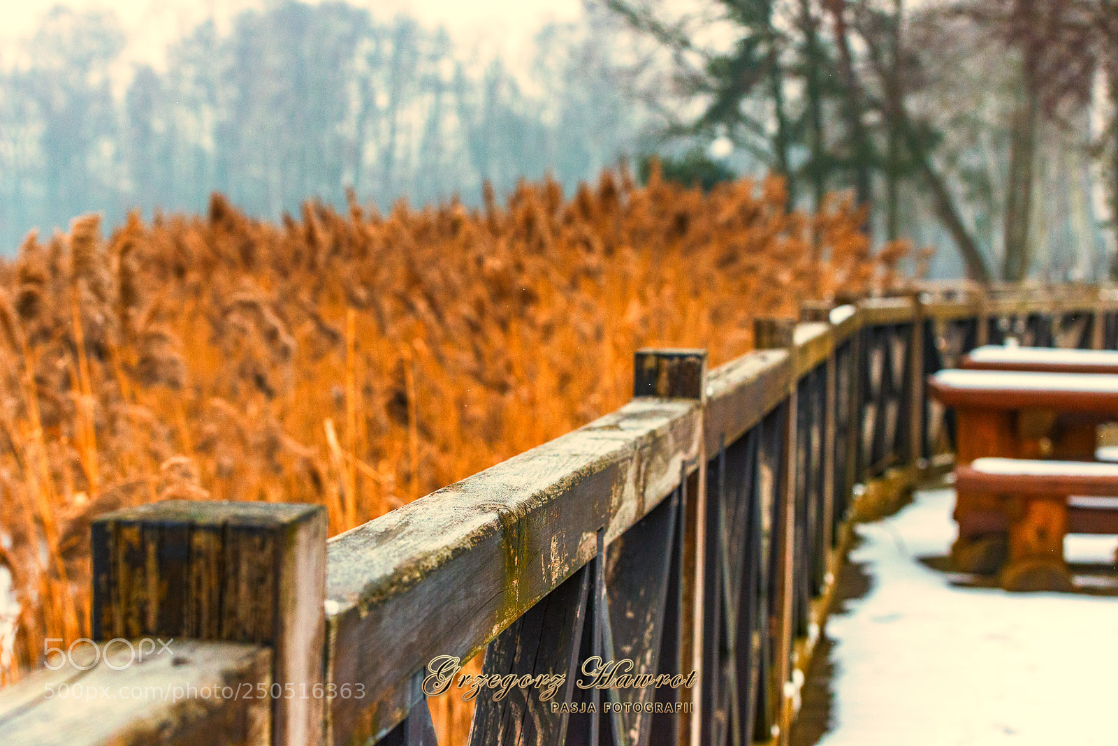 Nikon D800 sample photo. Look na fragment pomostu photography