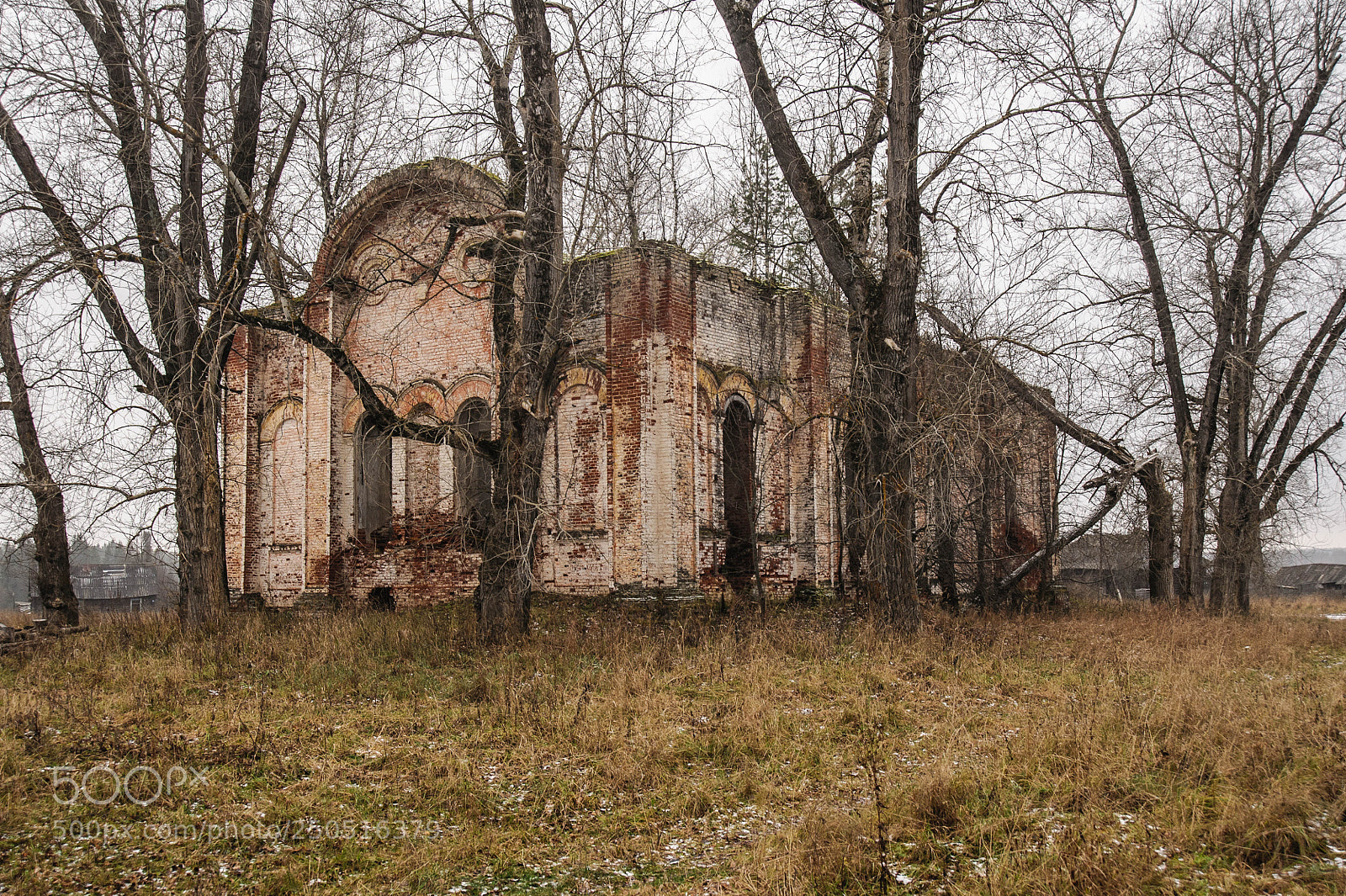 Nikon D700 sample photo. Новоильинское photography