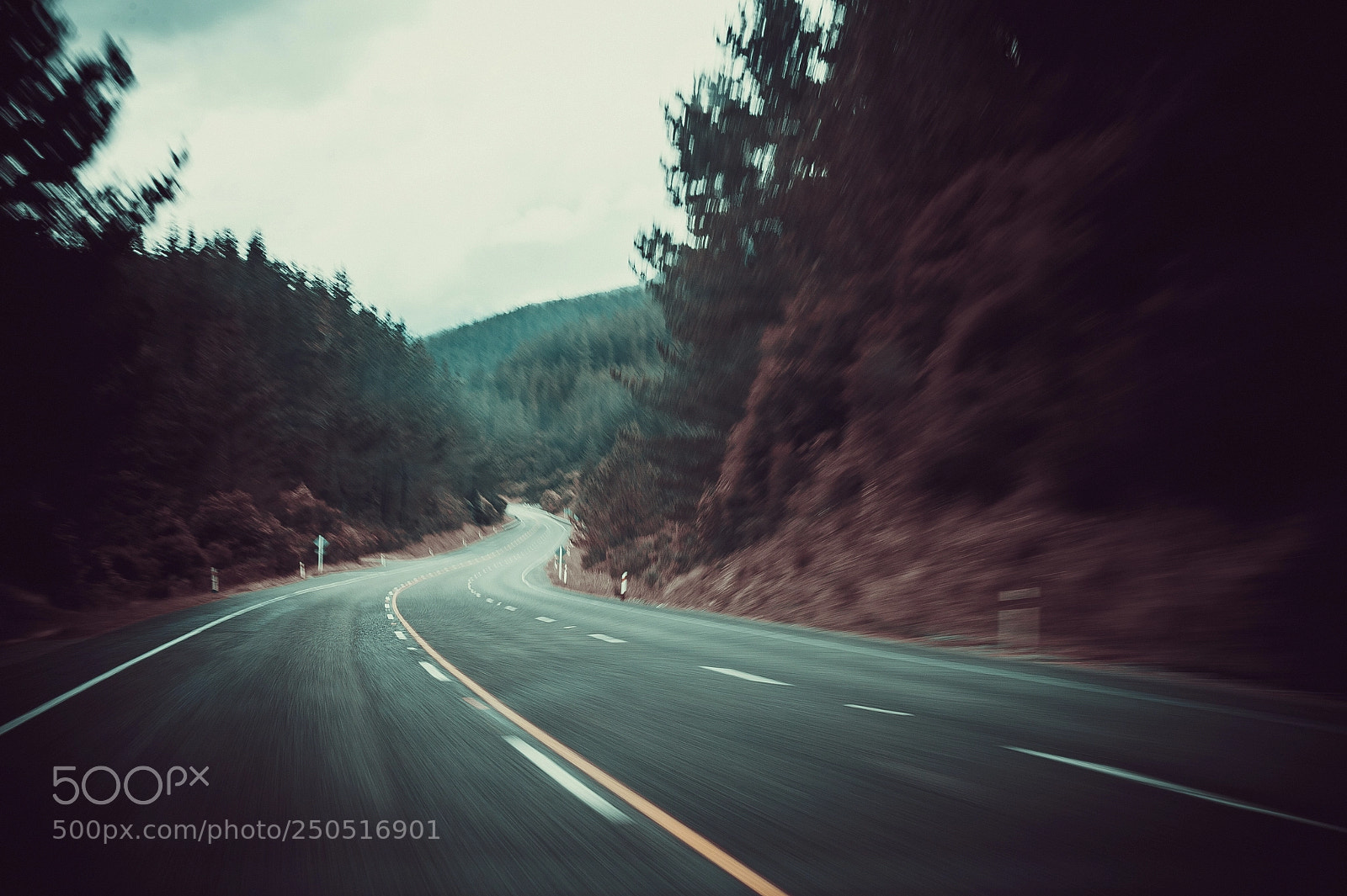 Nikon D4 sample photo. New zealand roads photography