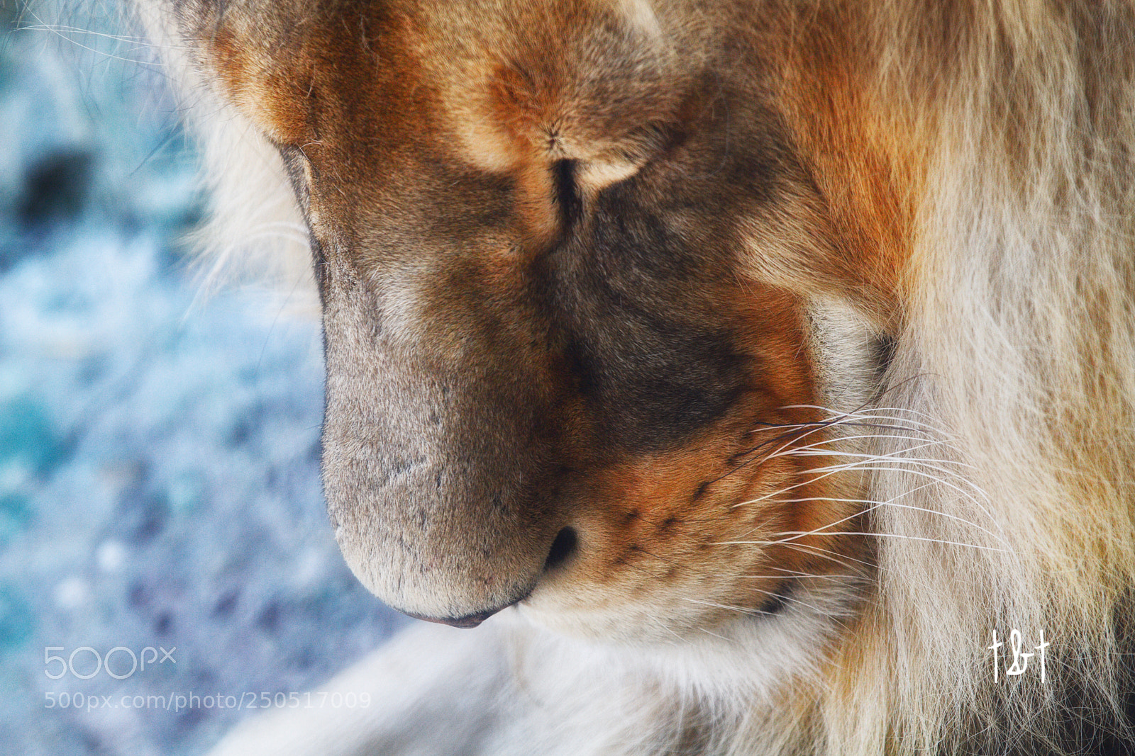 Canon EOS 7D sample photo. Untitled photography