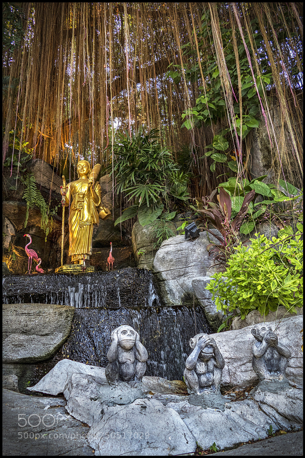 Leica V-Lux (Typ 114) sample photo. Three monkeys of the photography