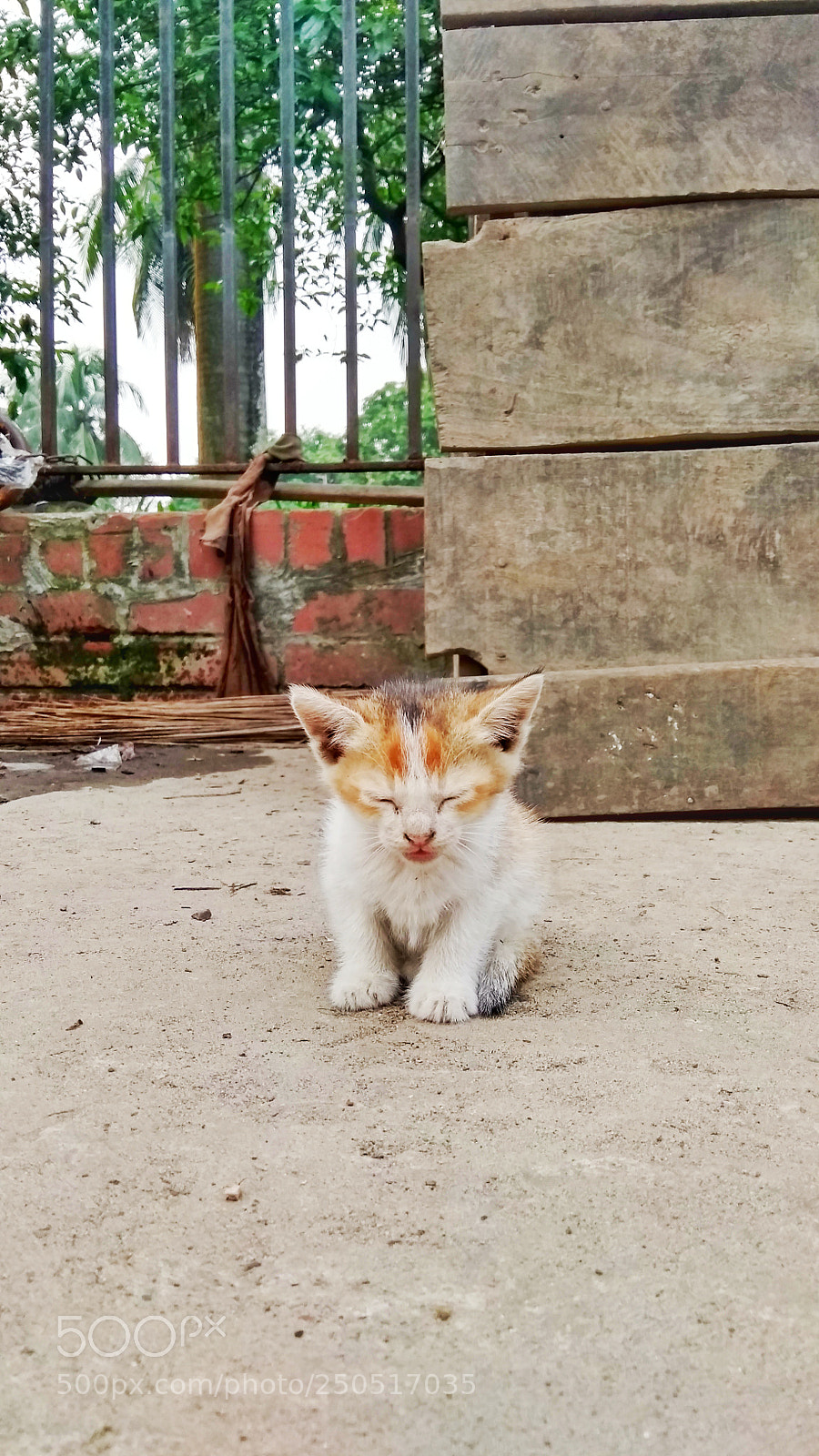 Xiaomi Redmi Note 4 sample photo. Untitled photography