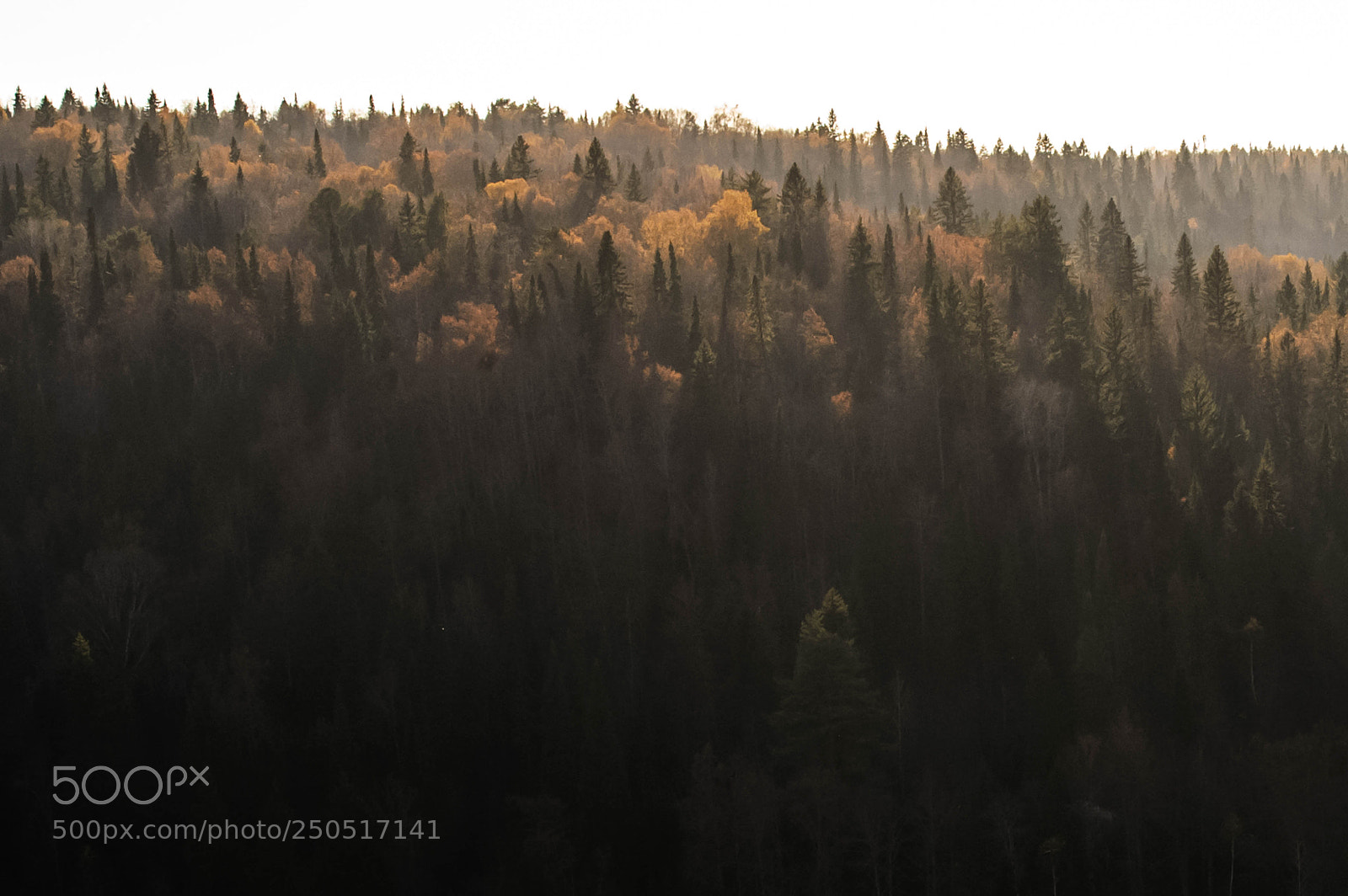 Nikon D700 sample photo. Солнце photography