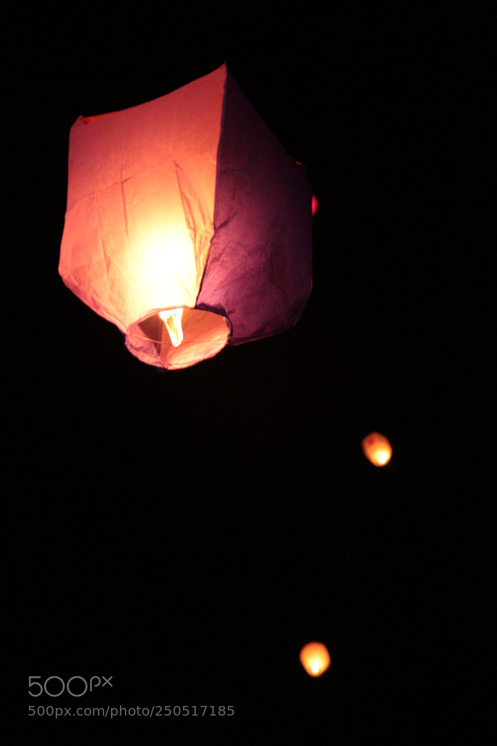 Canon EOS 70D sample photo. Img photography