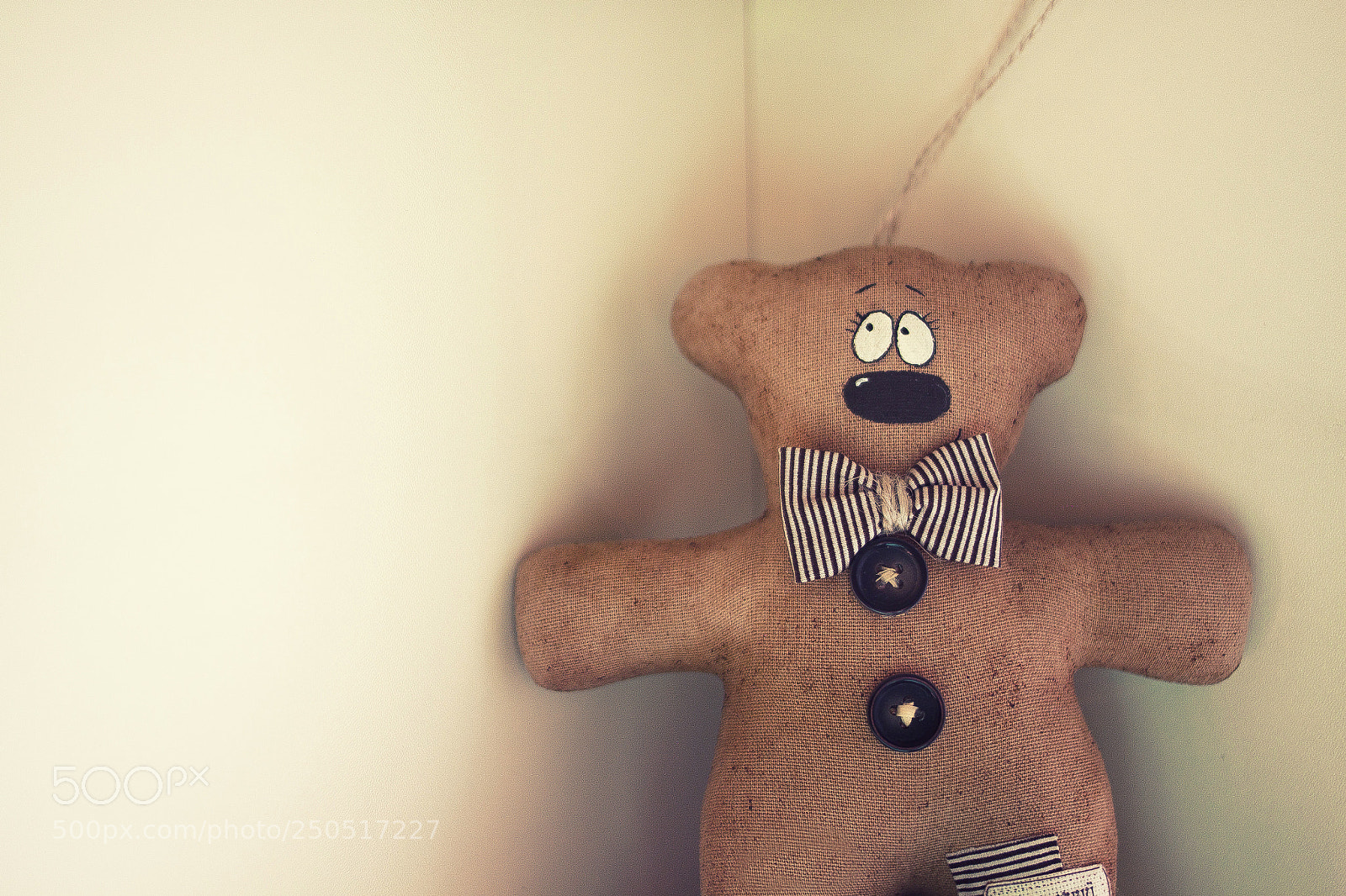 Canon EOS 500D (EOS Rebel T1i / EOS Kiss X3) sample photo. Coffee bear photography