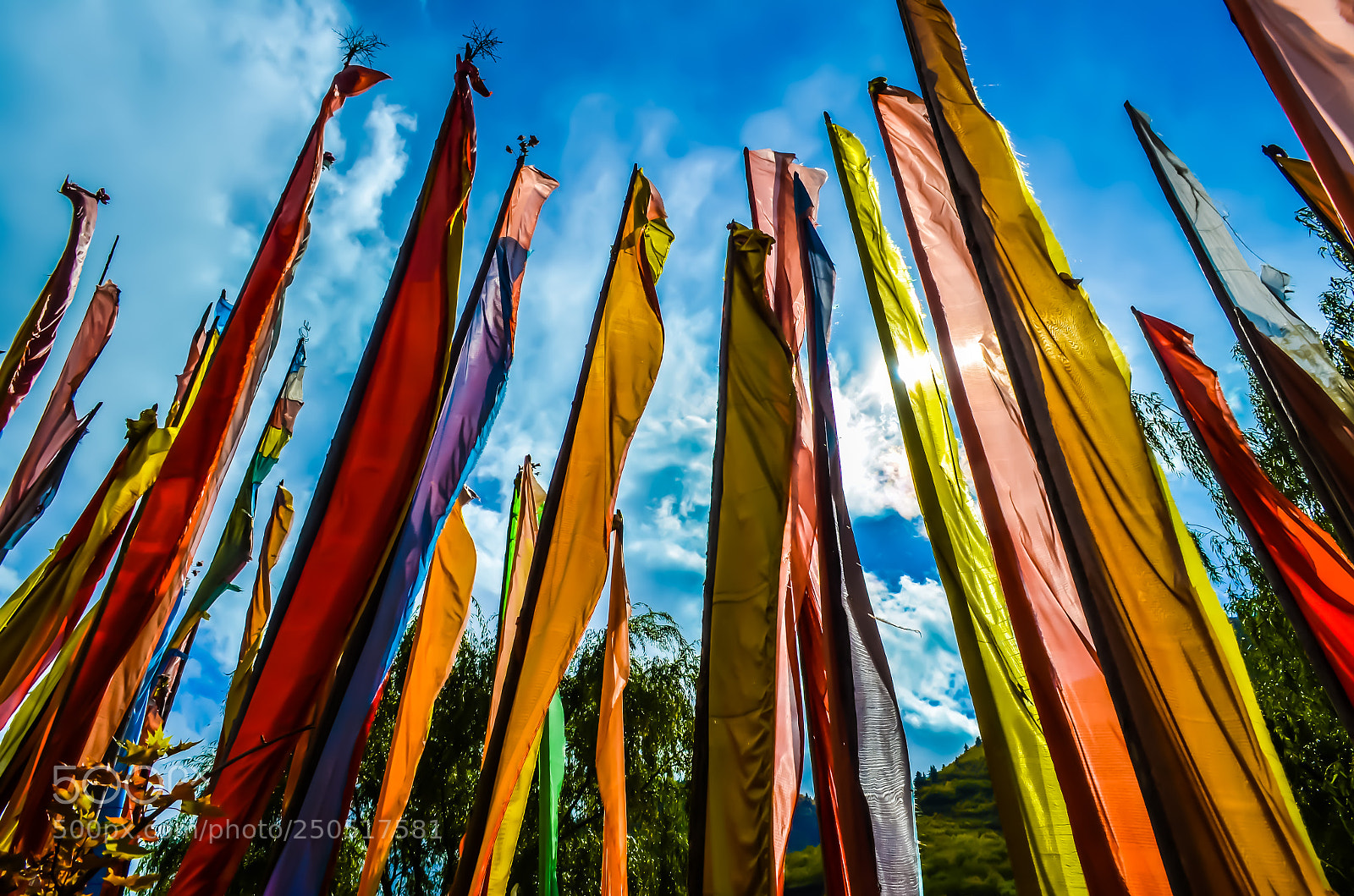 Nikon D5100 sample photo. Prayer flags photography