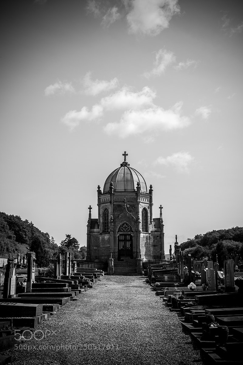 Canon EOS 5D Mark II sample photo. Lost cemetery photography