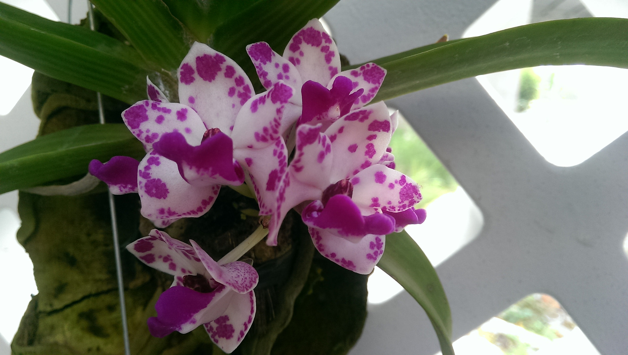HTC ONE sample photo