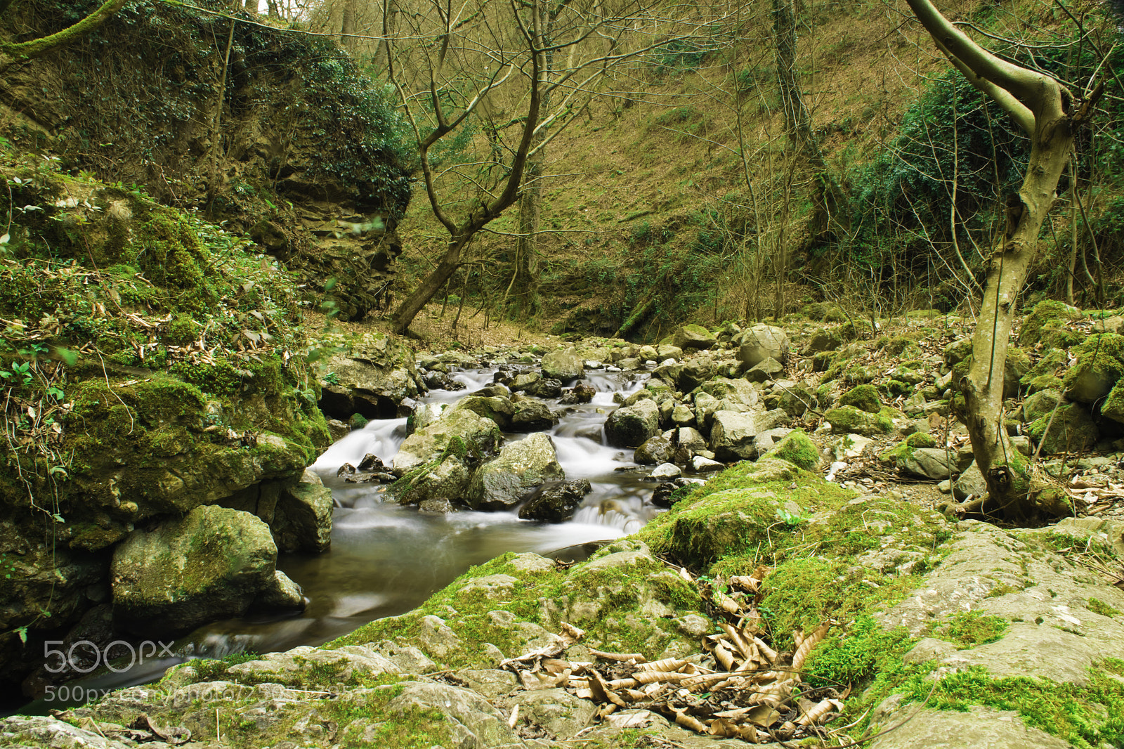 Nikon D5300 sample photo. The river photography