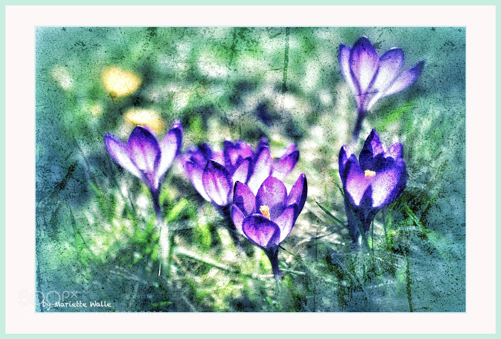 Canon EOS M5 sample photo. Spring is coming ? photography