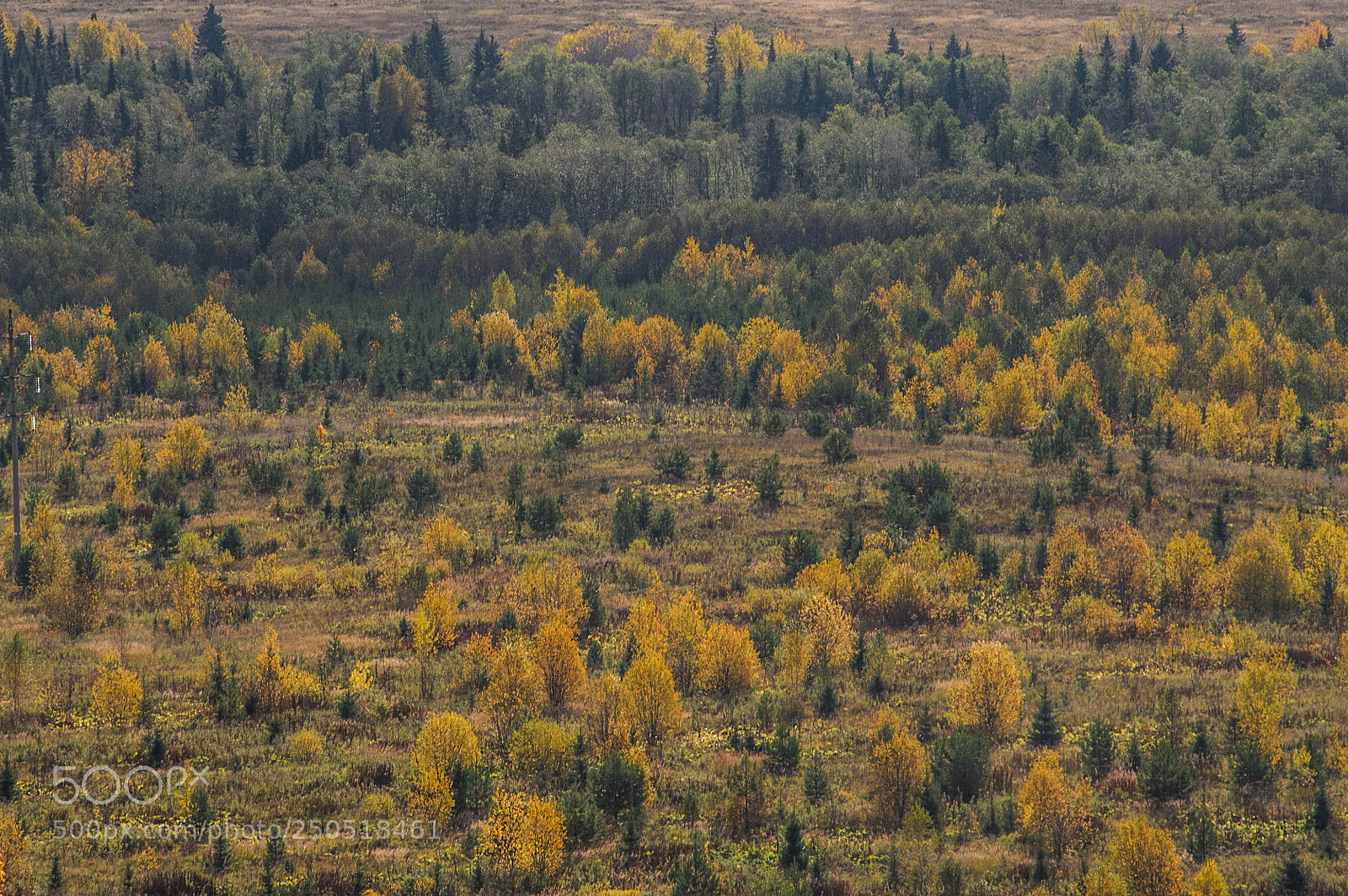 Nikon D700 sample photo. Colors of autumn photography