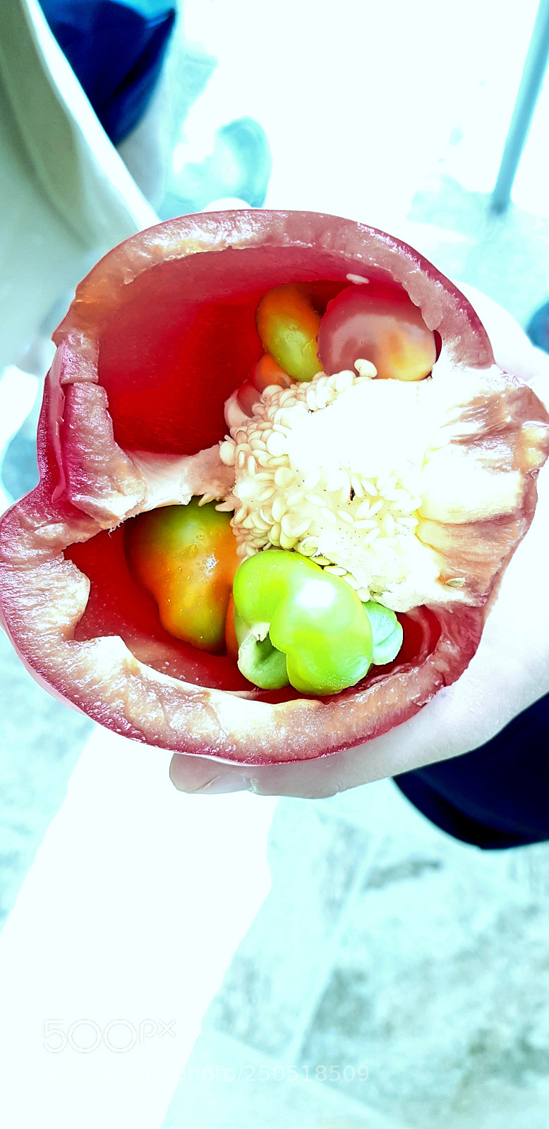 Samsung Galaxy S8+ sample photo. Untitled photography