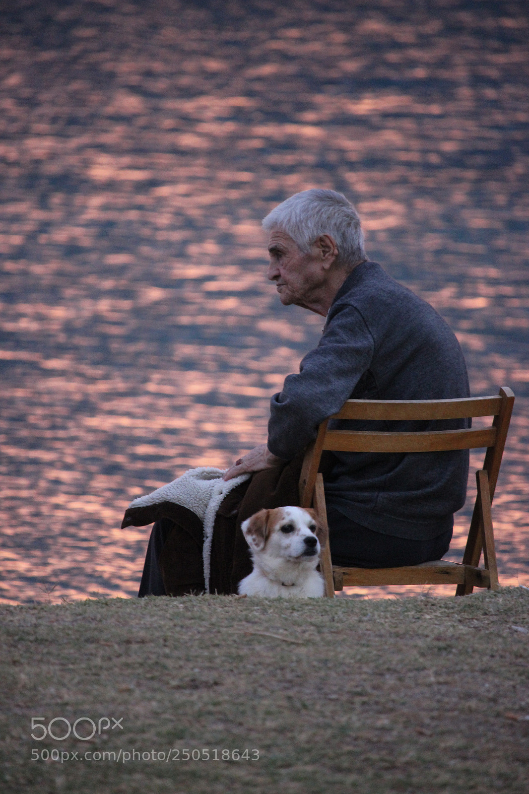 Canon EOS 600D (Rebel EOS T3i / EOS Kiss X5) sample photo. Man's best friend photography