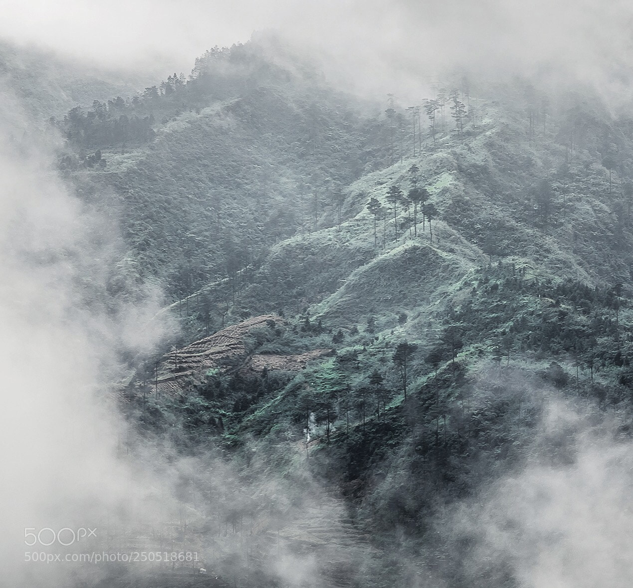 Canon EOS 5D Mark IV sample photo. Fog - dieng plateau photography
