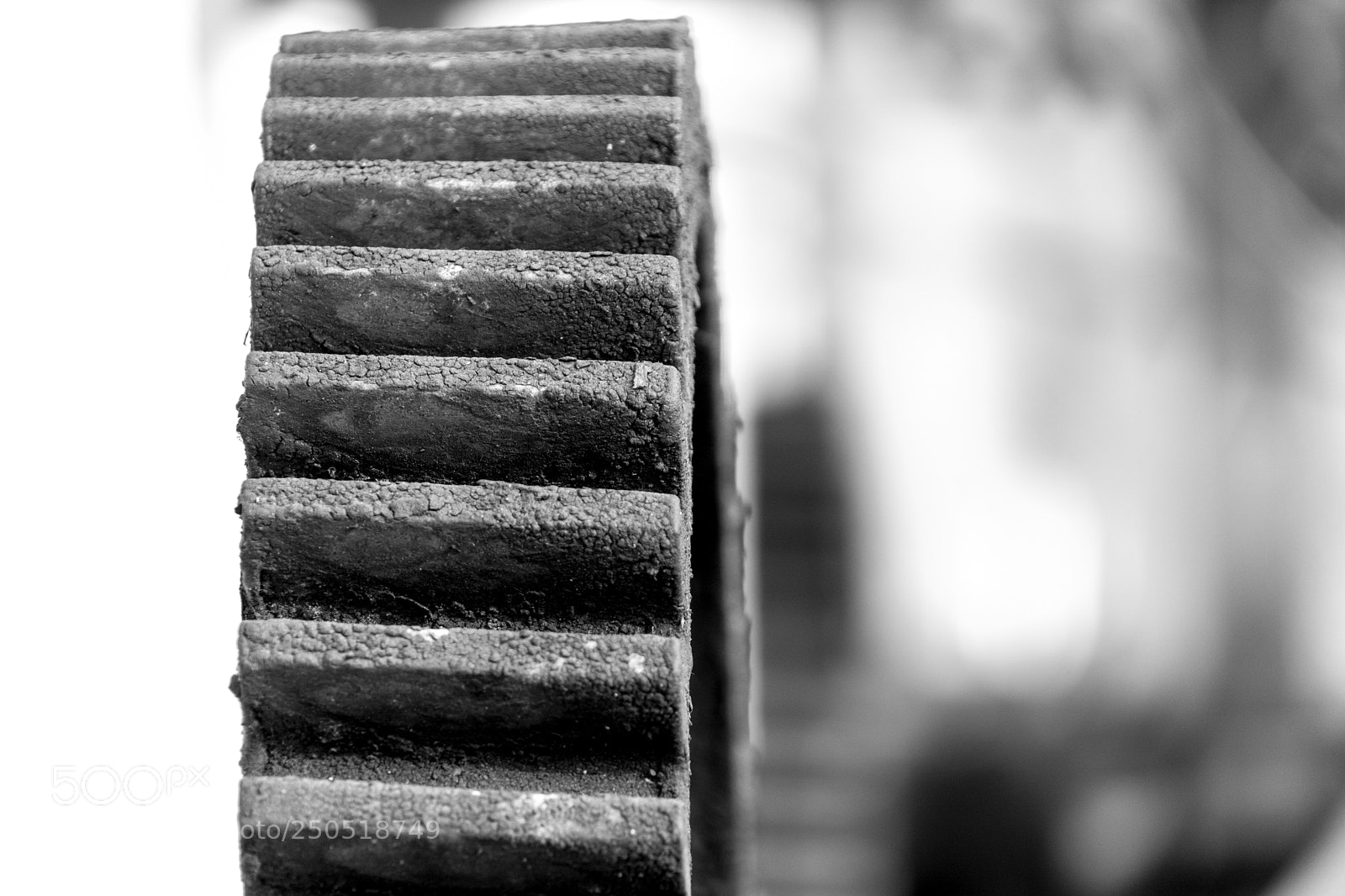 Nikon D7100 sample photo. Gear photography