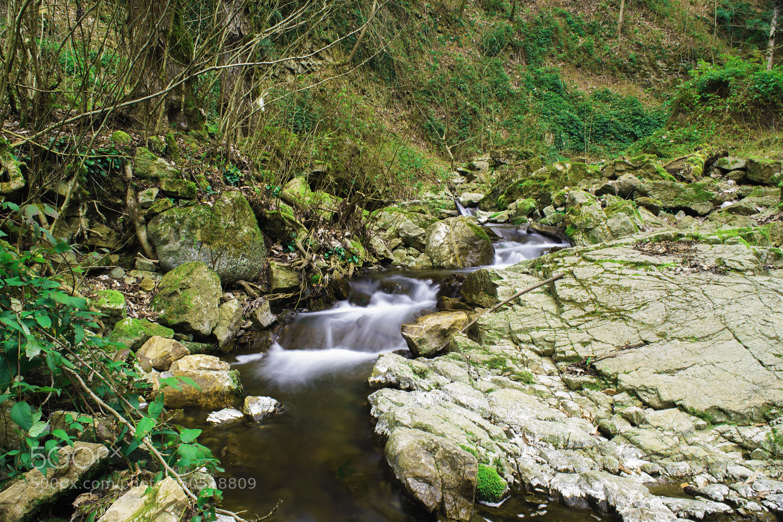 Nikon D5300 sample photo. The river photography