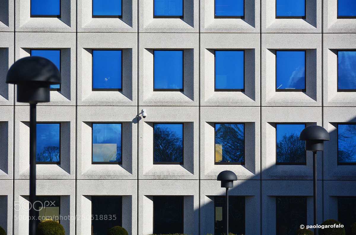 Nikon D7100 sample photo. Geometrie in blù photography