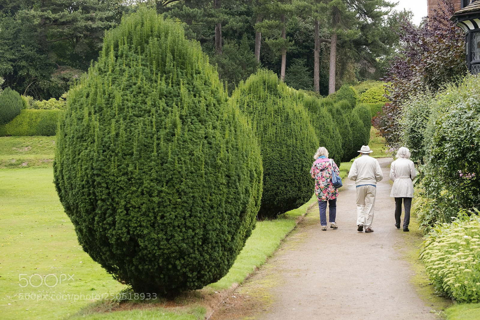 Nikon D600 sample photo. Garden path (1) photography