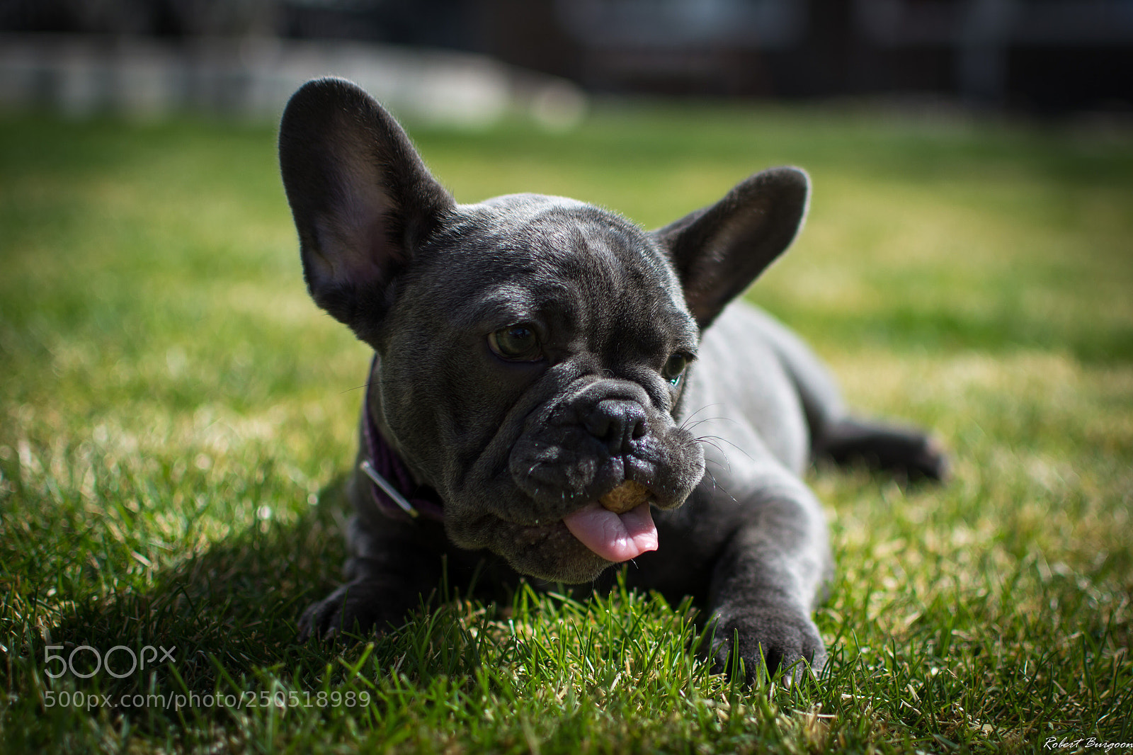 Nikon D5200 sample photo. Untitled photography