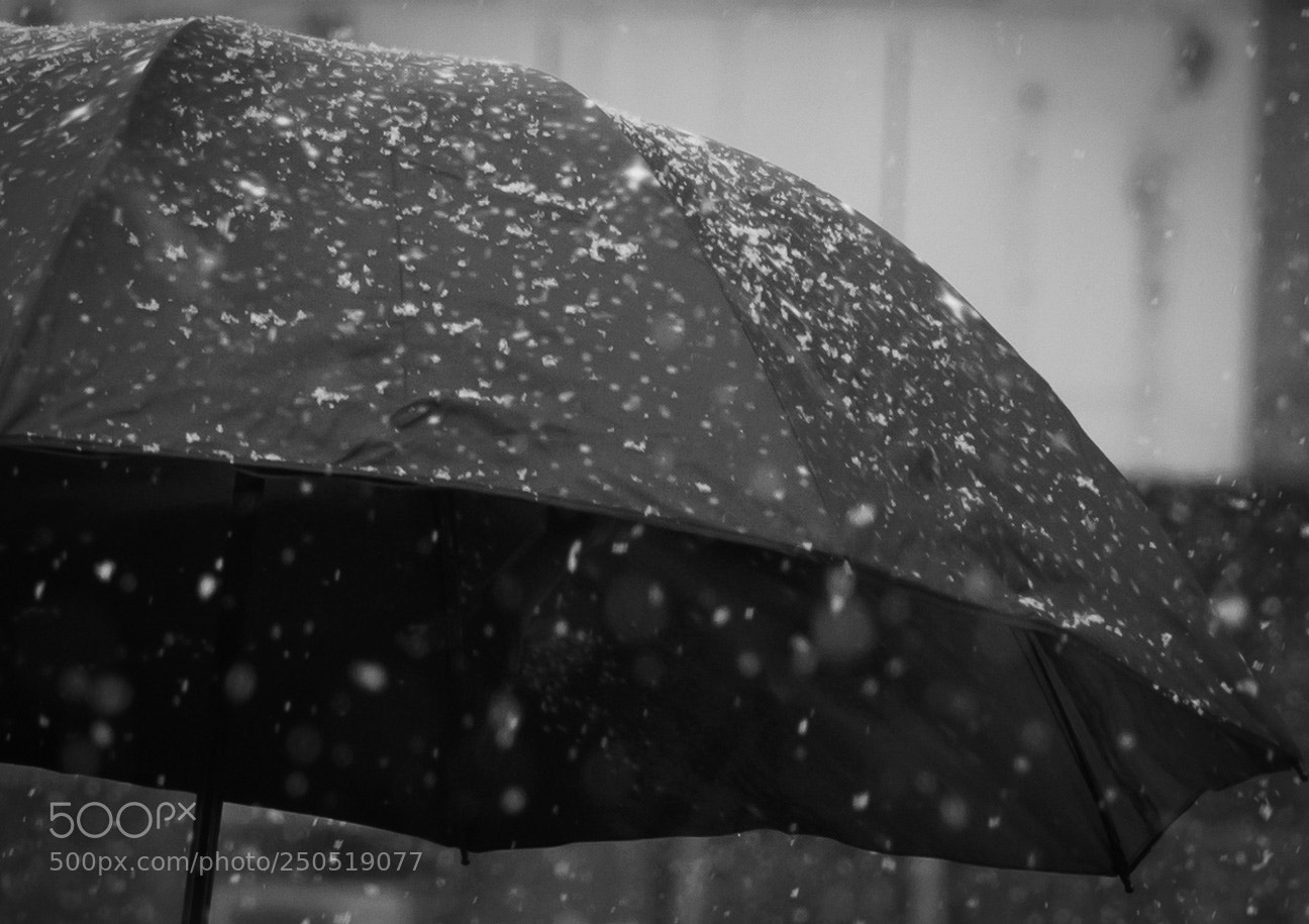 Sony a7R II sample photo. Unbrella in snow photography