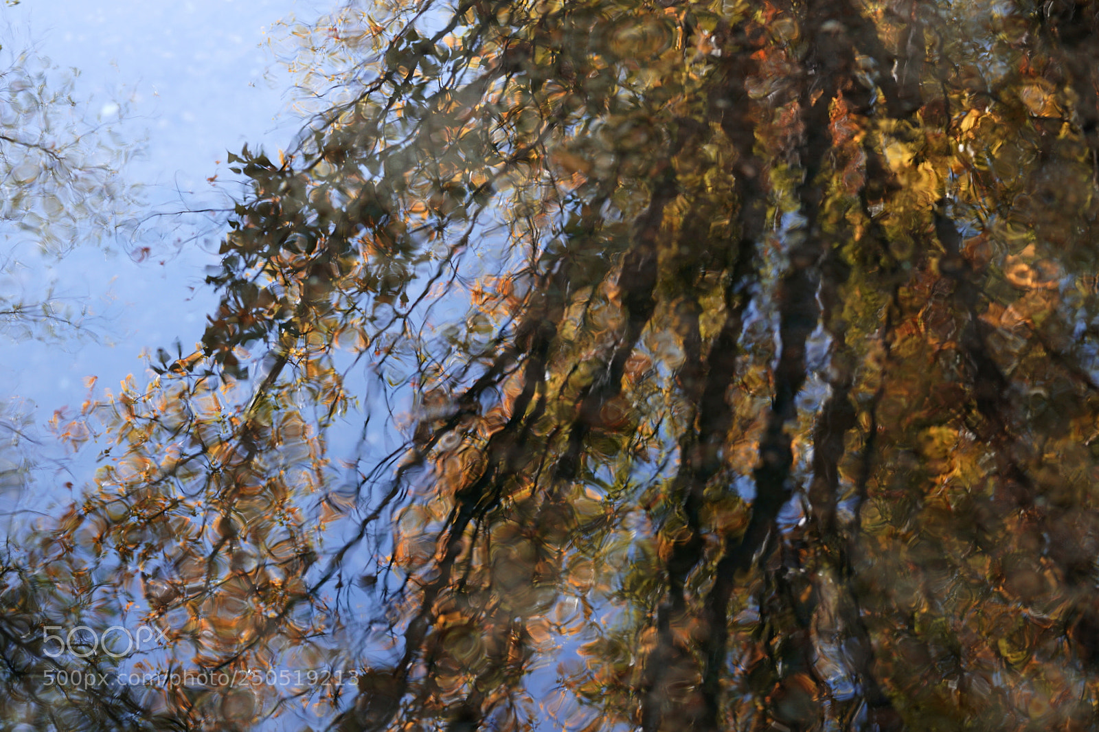 Sony a6000 sample photo. Reflejos 2 photography