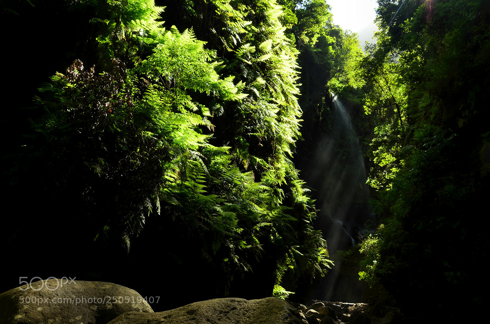 Nikon D5100 sample photo. Mystic photography