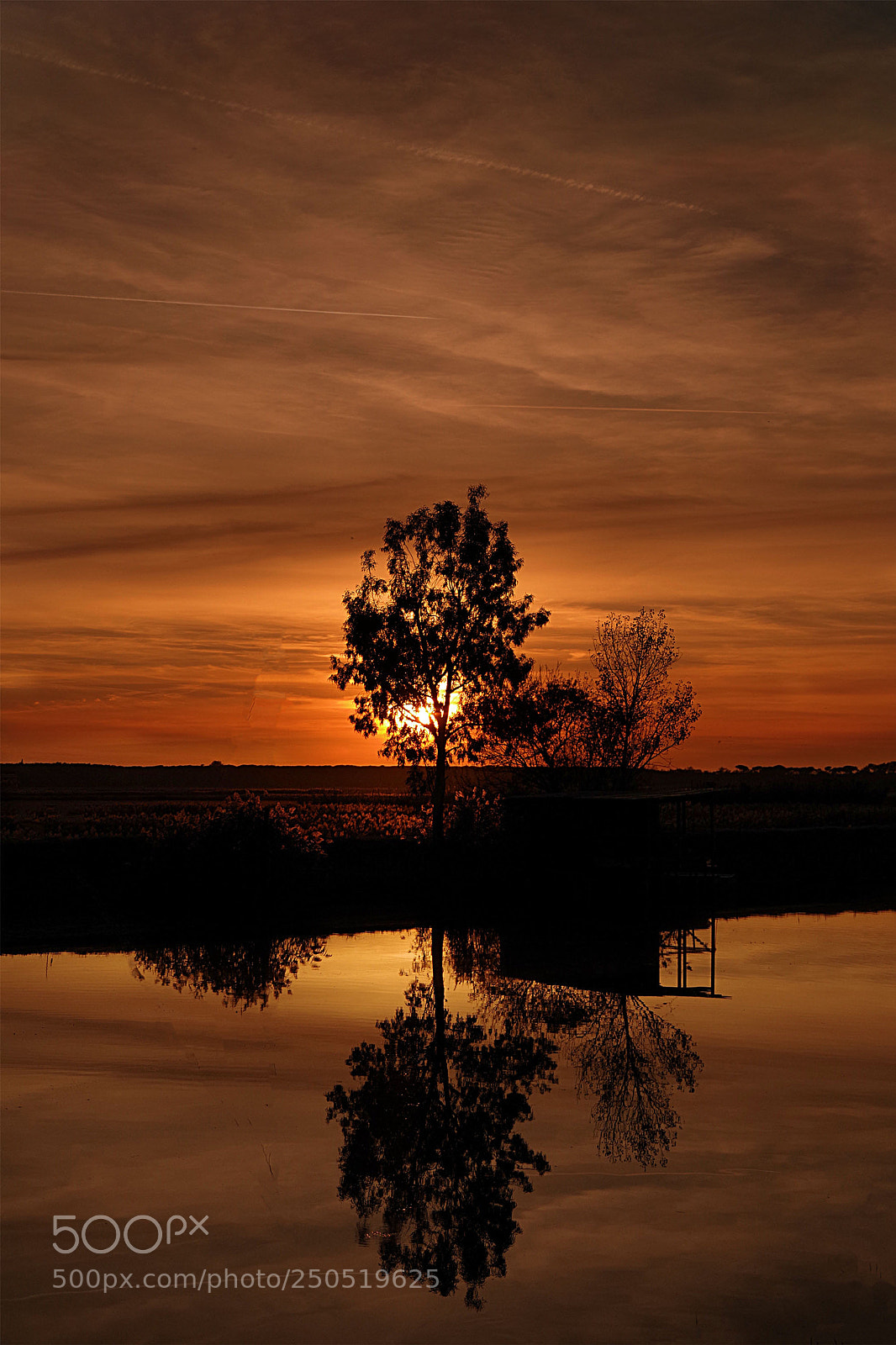 Pentax K-70 sample photo. Red reflections photography