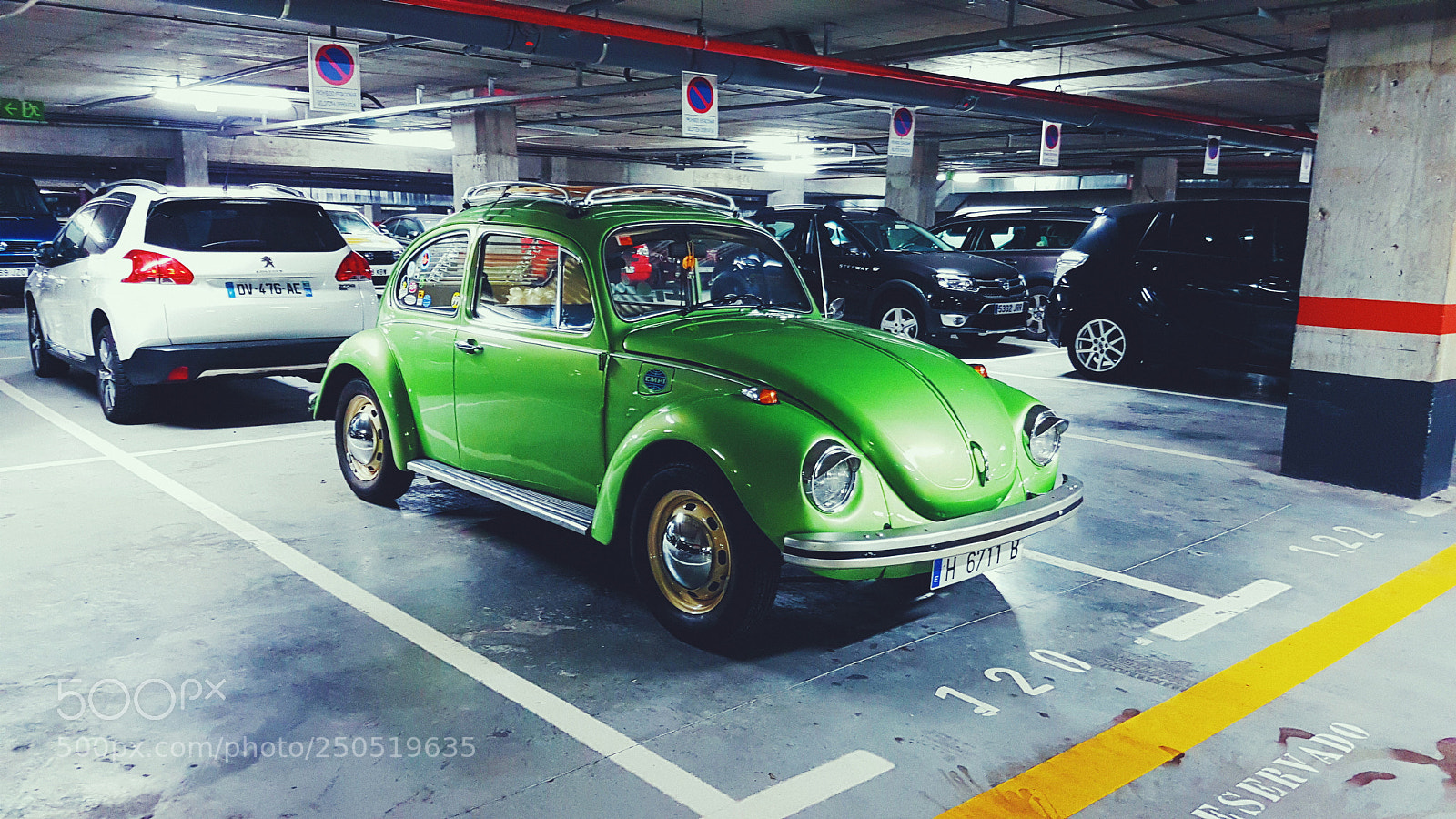 Samsung Galaxy S7 Edge sample photo. Green beattle photography
