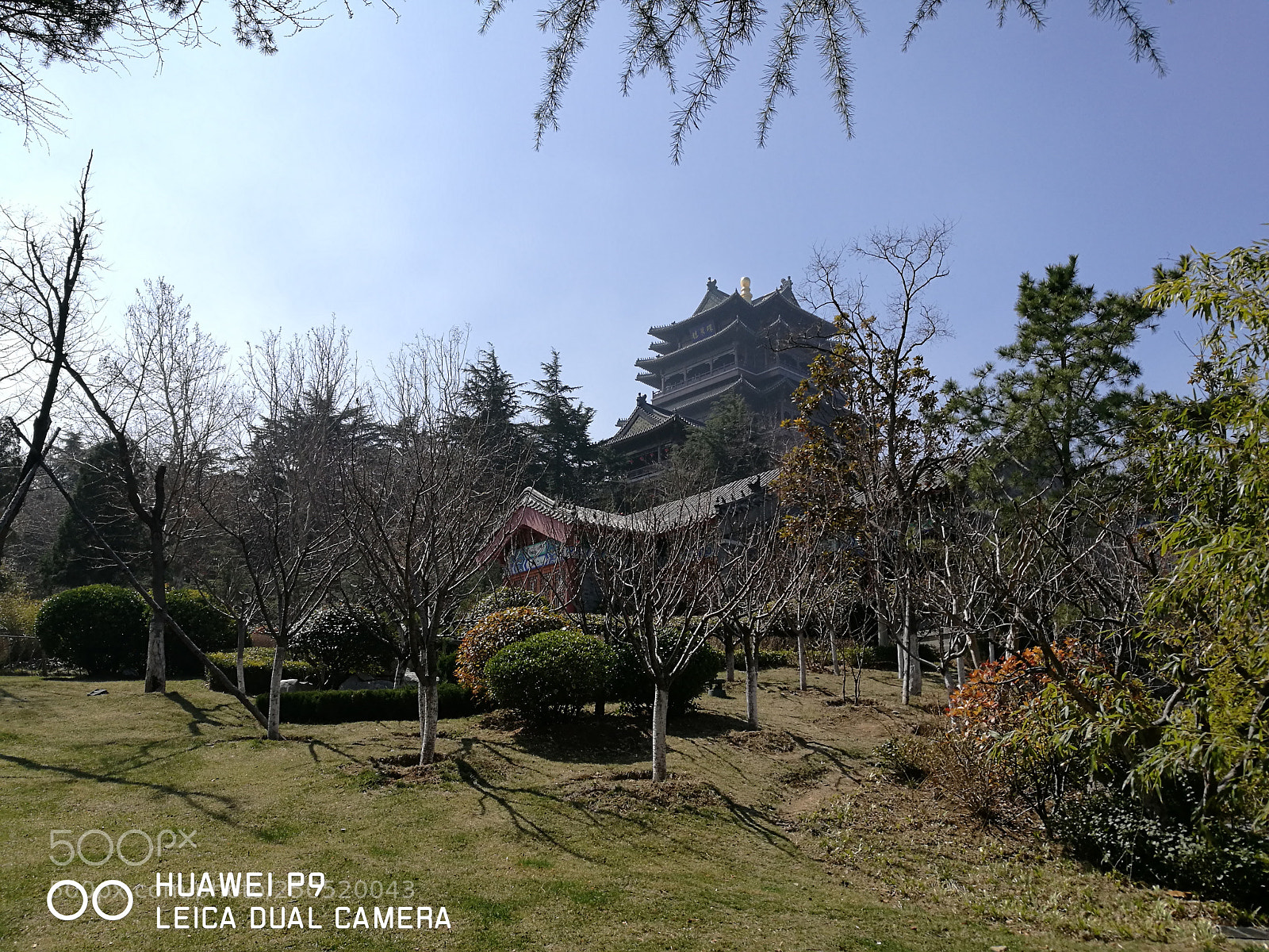 HUAWEI P9 sample photo. Untitled photography