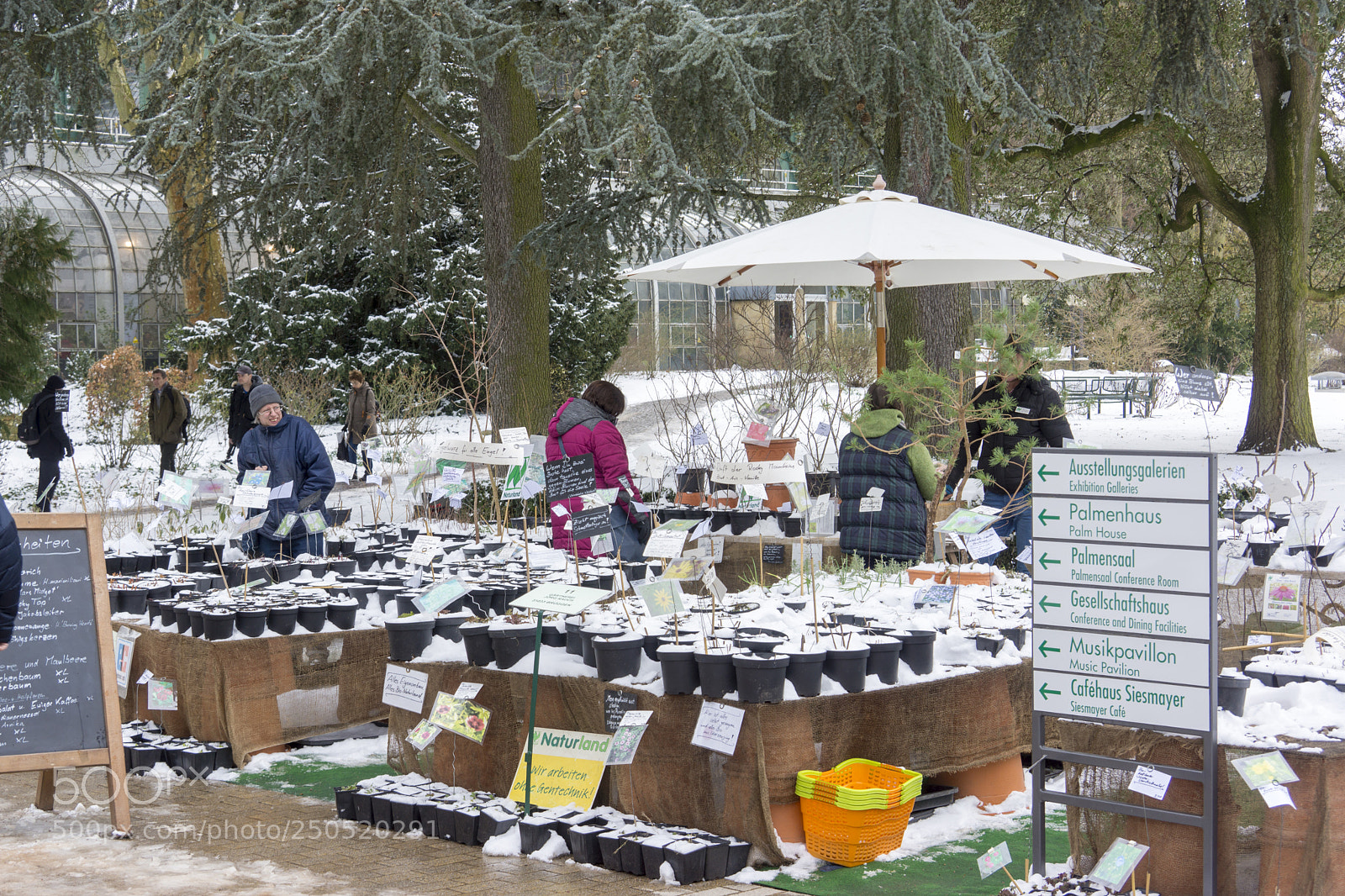 Sony Alpha NEX-7 sample photo. Palmengarten frankfurt-am-main photography