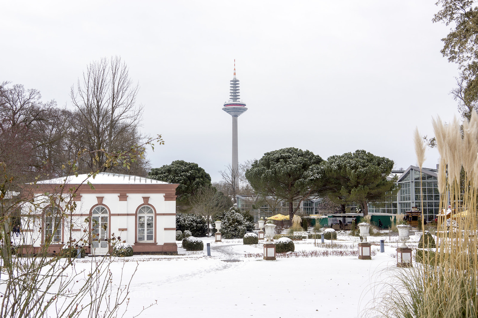 Sony Alpha NEX-7 sample photo. Palmengarten frankfurt-am-main photography
