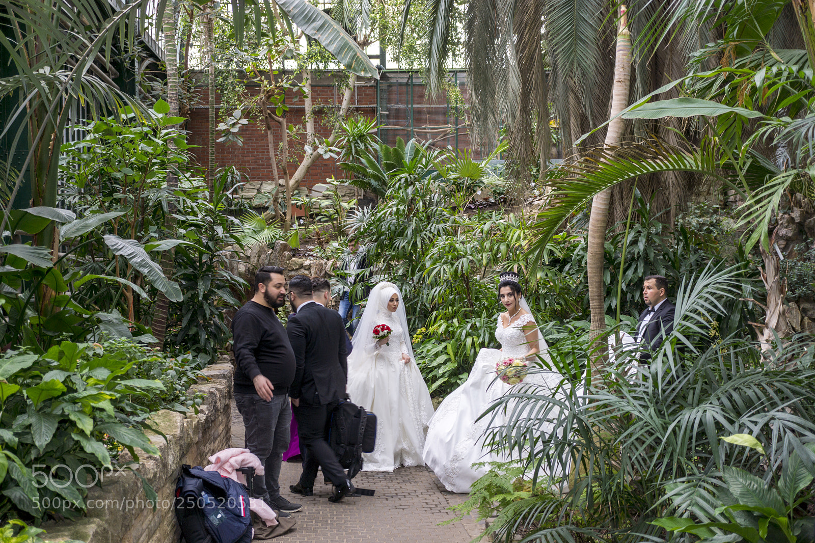 Sony Alpha NEX-7 sample photo. Palmengarten frankfurt-am-main photography