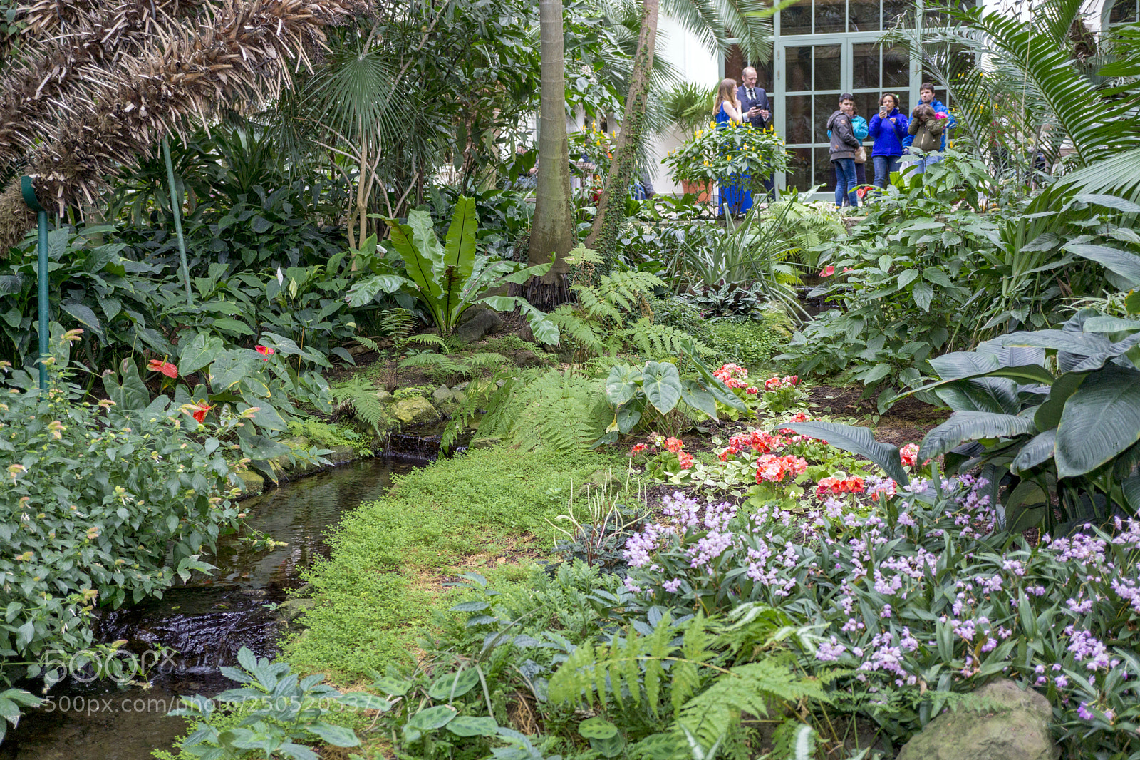 Sony Alpha NEX-7 sample photo. Palmengarten frankfurt-am-main photography