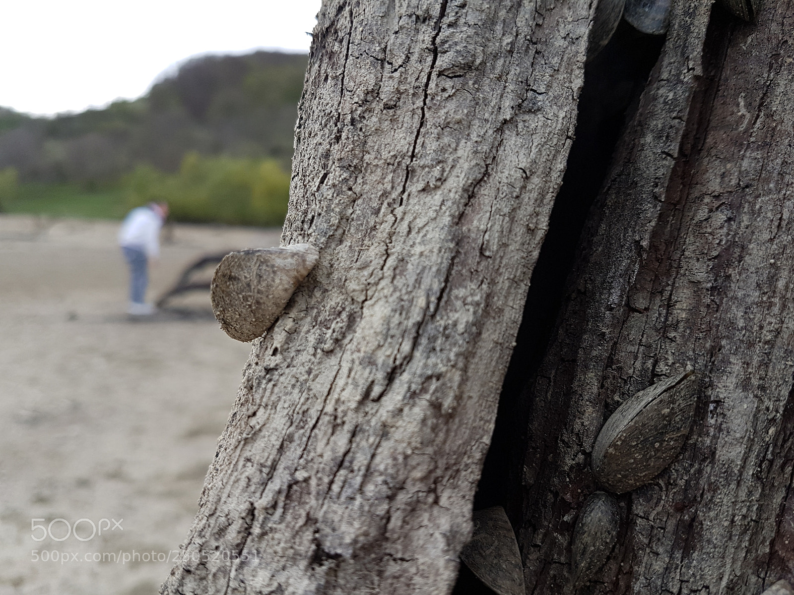 Samsung Galaxy S7 Edge sample photo. 20170414_155532.jpg photography