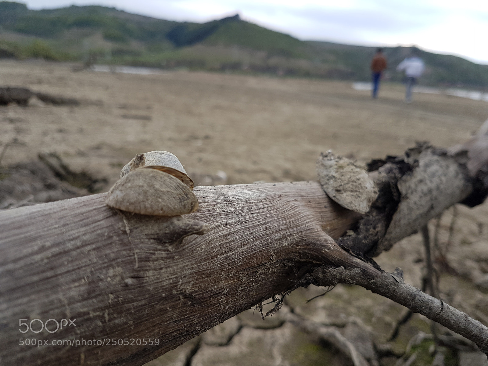 Samsung Galaxy S7 Edge sample photo. 20170414_155727.jpg photography