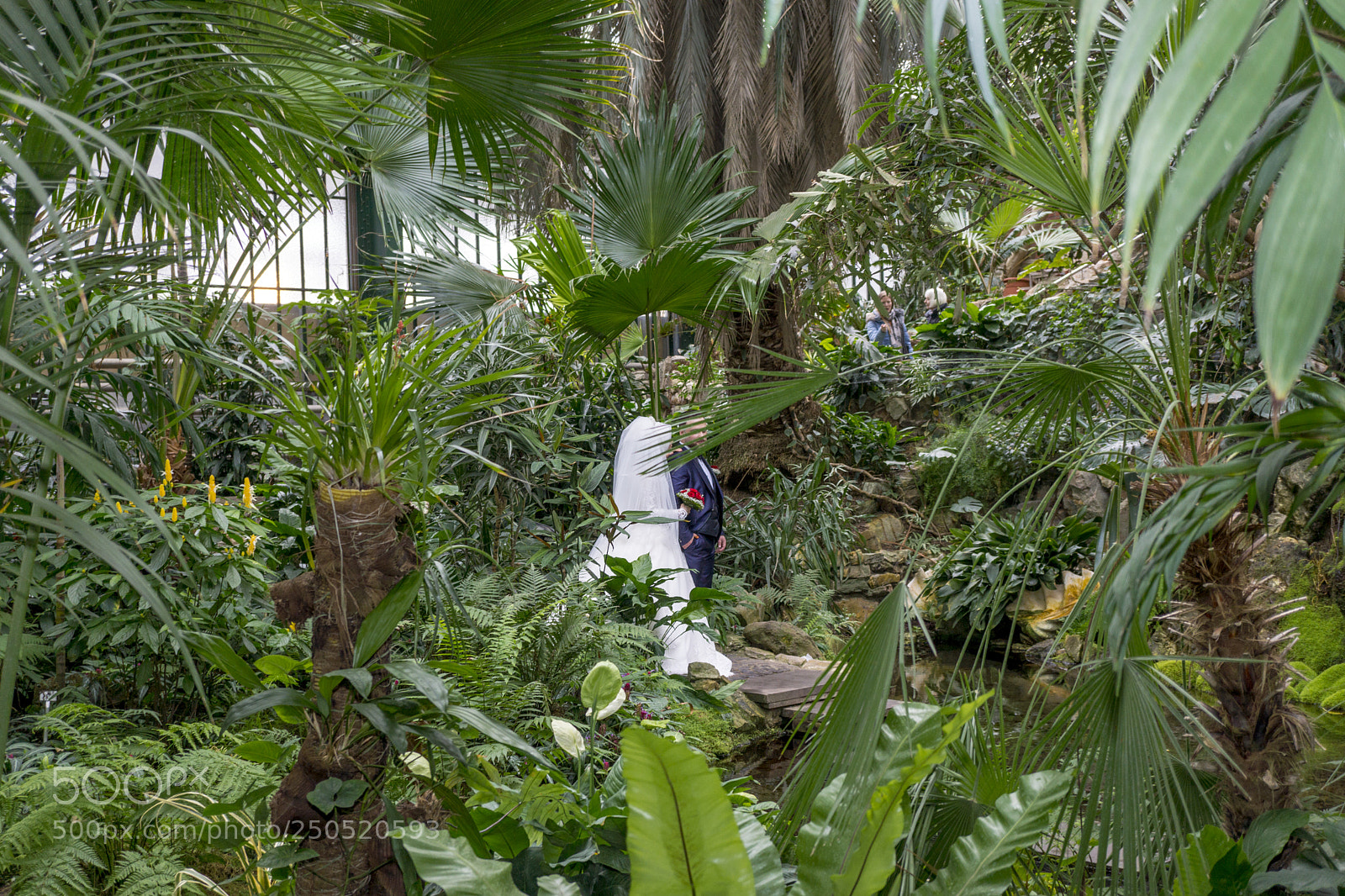 Sony Alpha NEX-7 sample photo. Palmengarten frankfurt-am-main photography