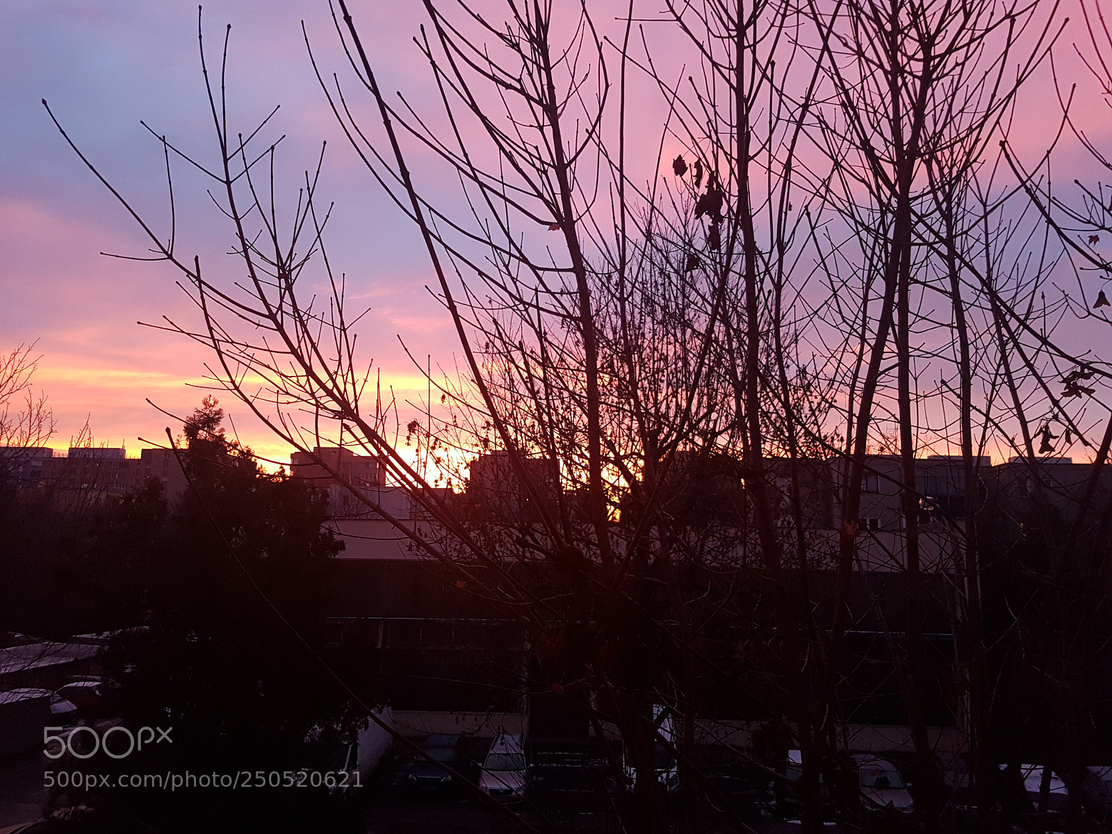 Samsung Galaxy S7 Edge sample photo. 20171212_073843.jpg photography