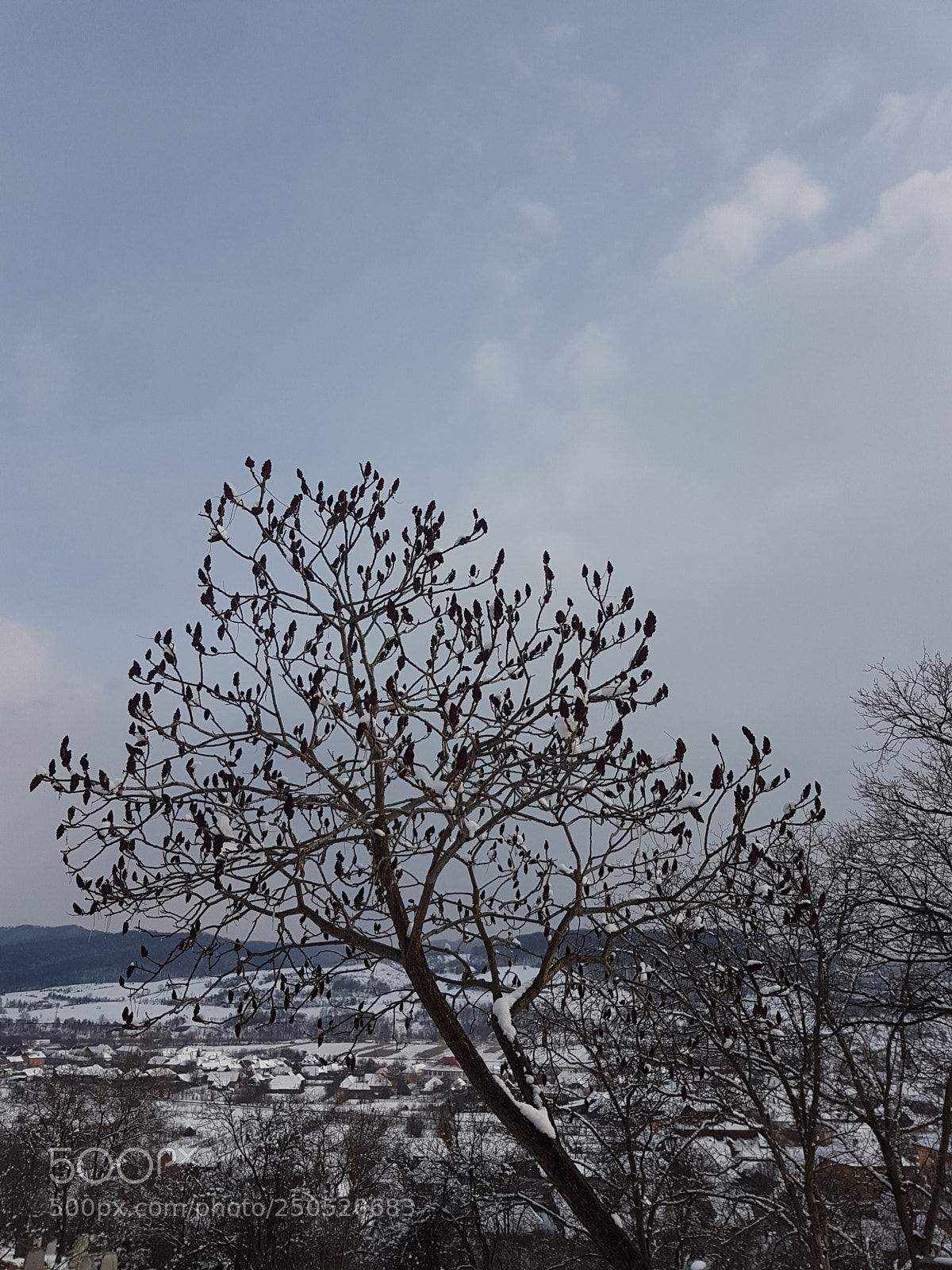 Samsung Galaxy S7 Edge sample photo. 20180225_151314.jpg photography