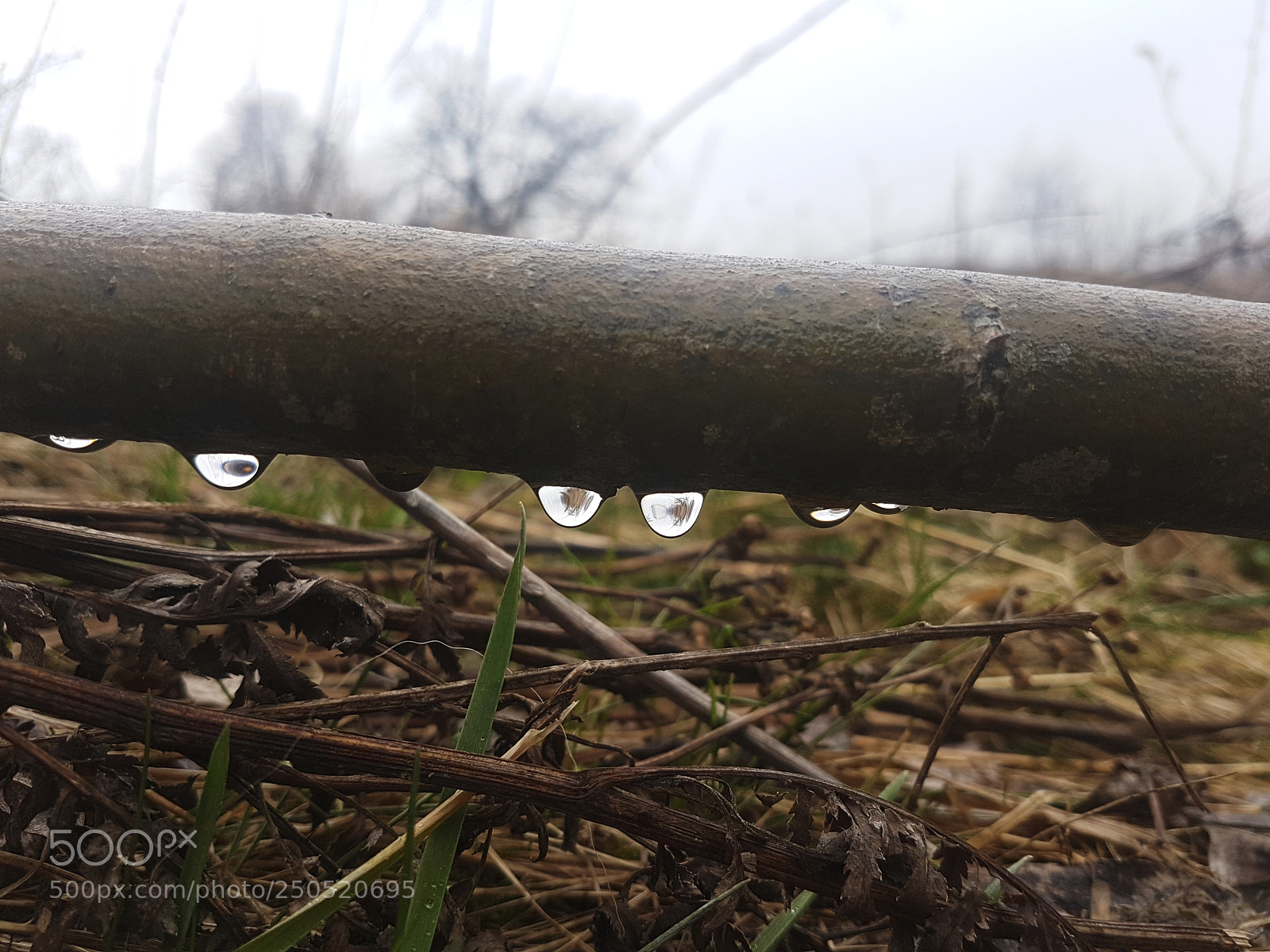 Samsung Galaxy S7 Edge sample photo. 20180317_162854.jpg photography